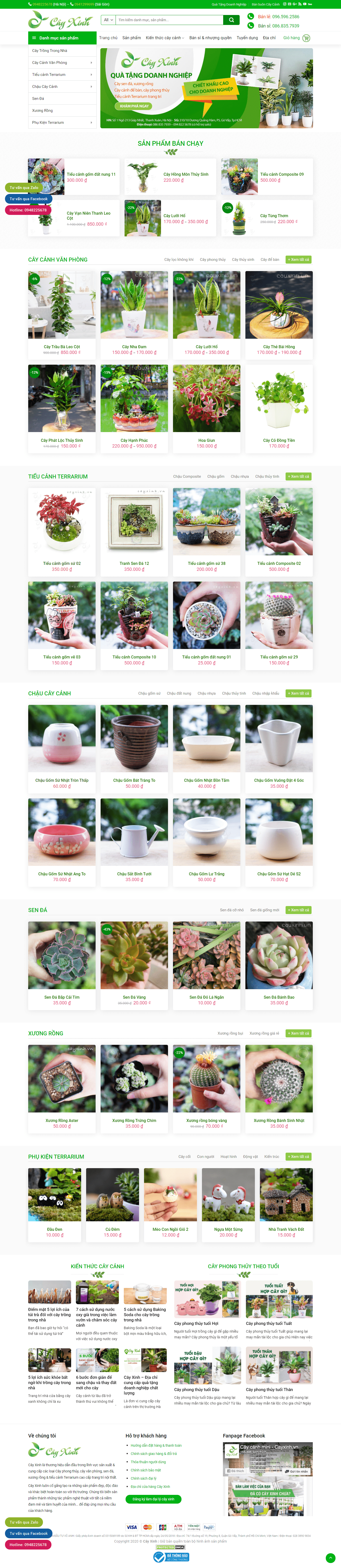 Thiết kế Web bán cá cảnh, cây thủy sinh cayxinh.vn