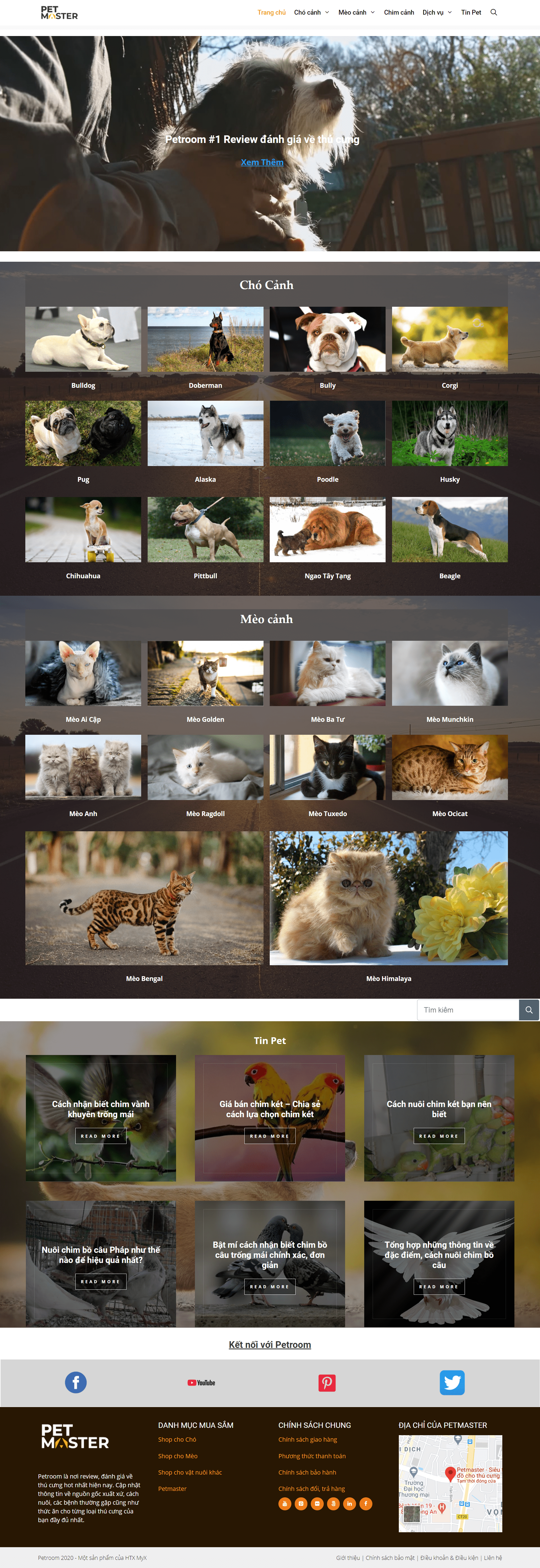 Thiết kế Web động vật vật nuôi petmaster.vn