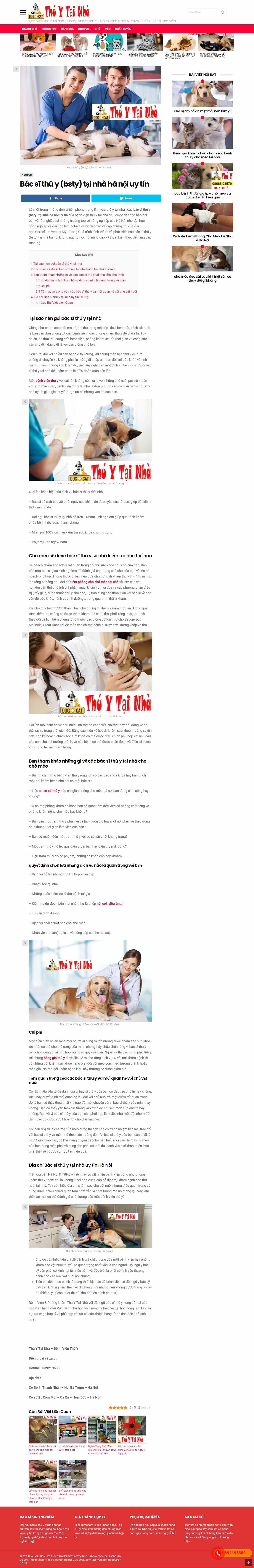 Thiết kế Web dịch vụ thú y thuytainha.com