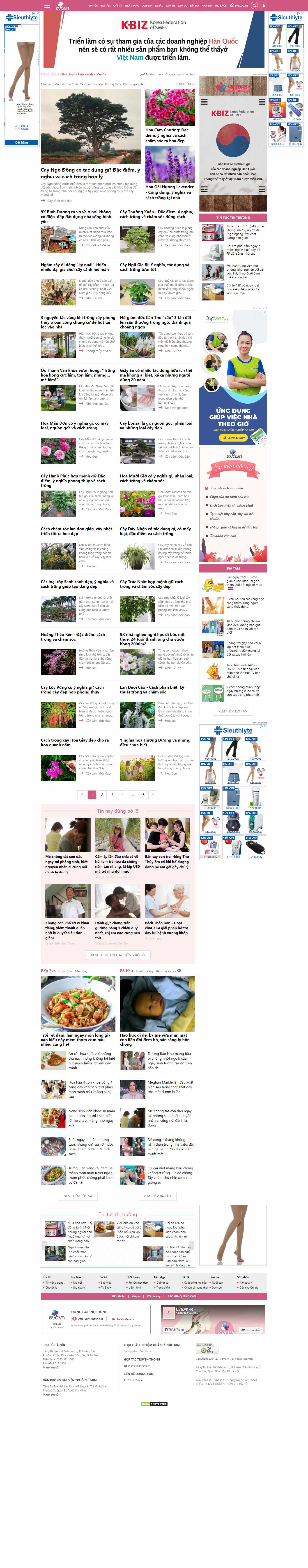 Thiết kế Web cây cảnh eva.vn