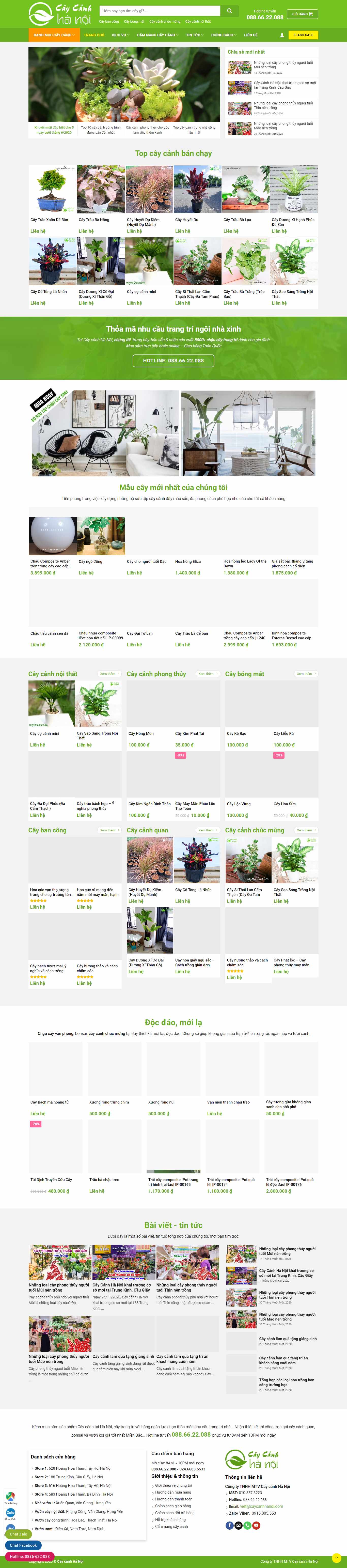 Thiết kế Web cây cảnh caycanhhanoi.vn