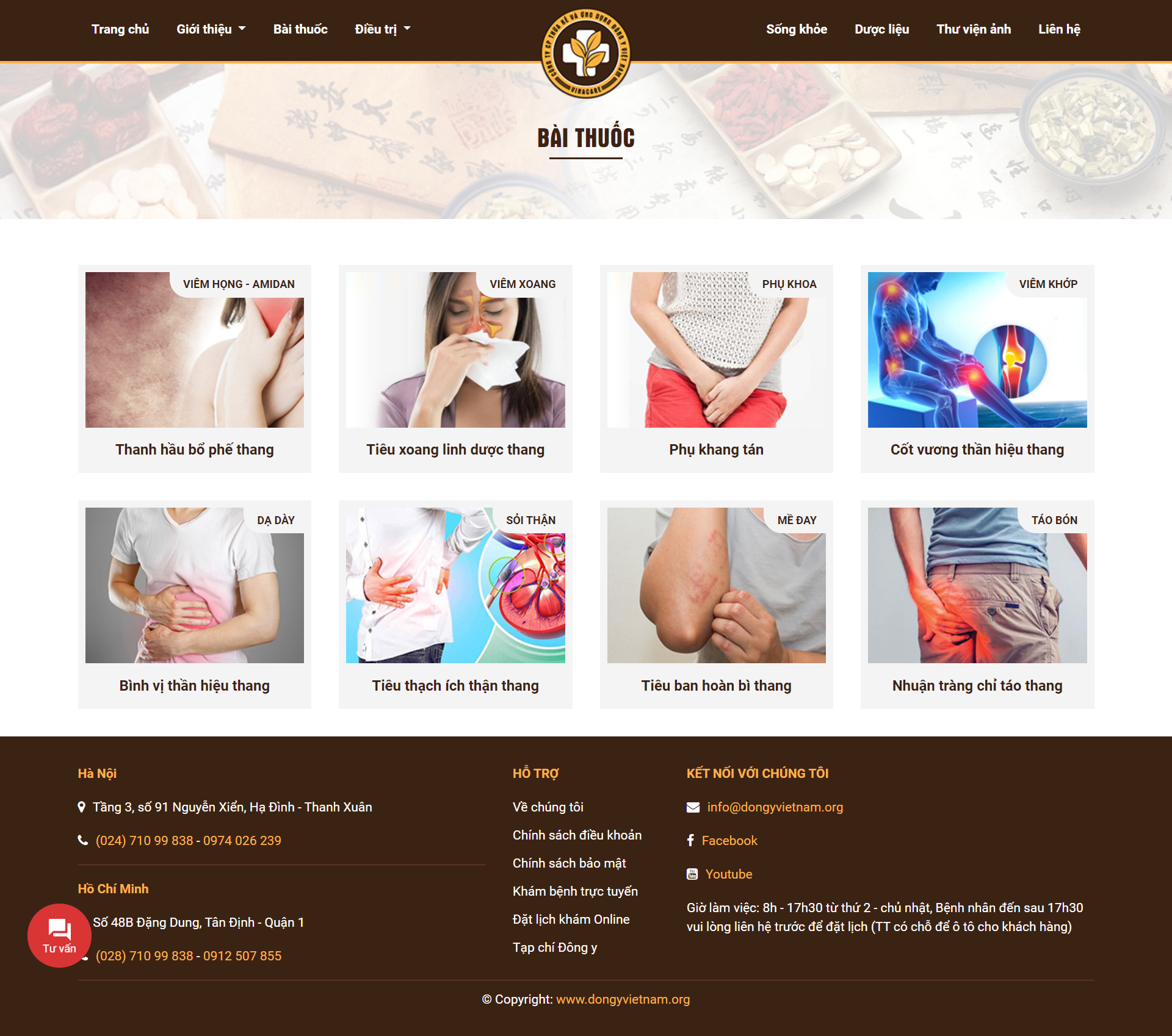 Thiết kế Web đông y dongyvietnam.org