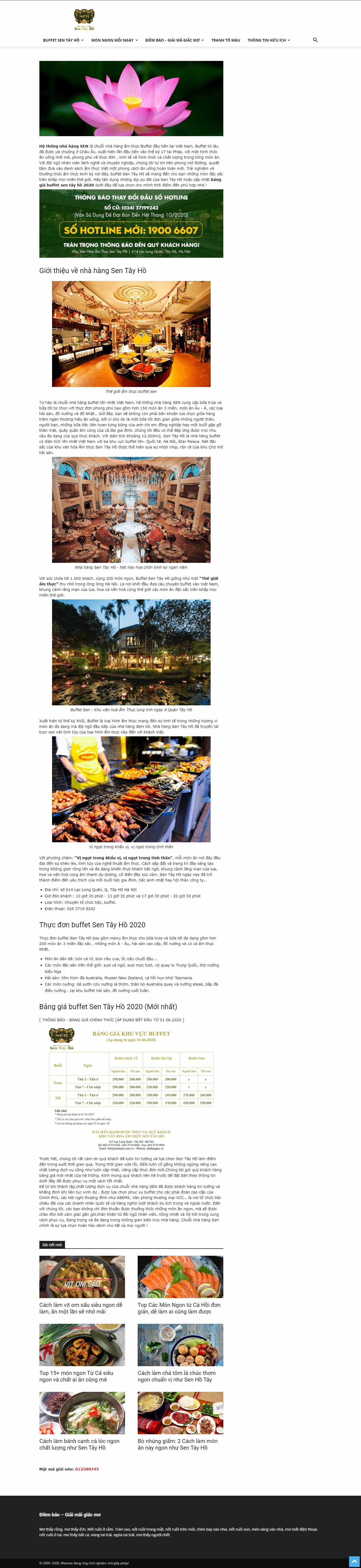 Thiết kế Web theo yêu cầu sentayho.com.vn