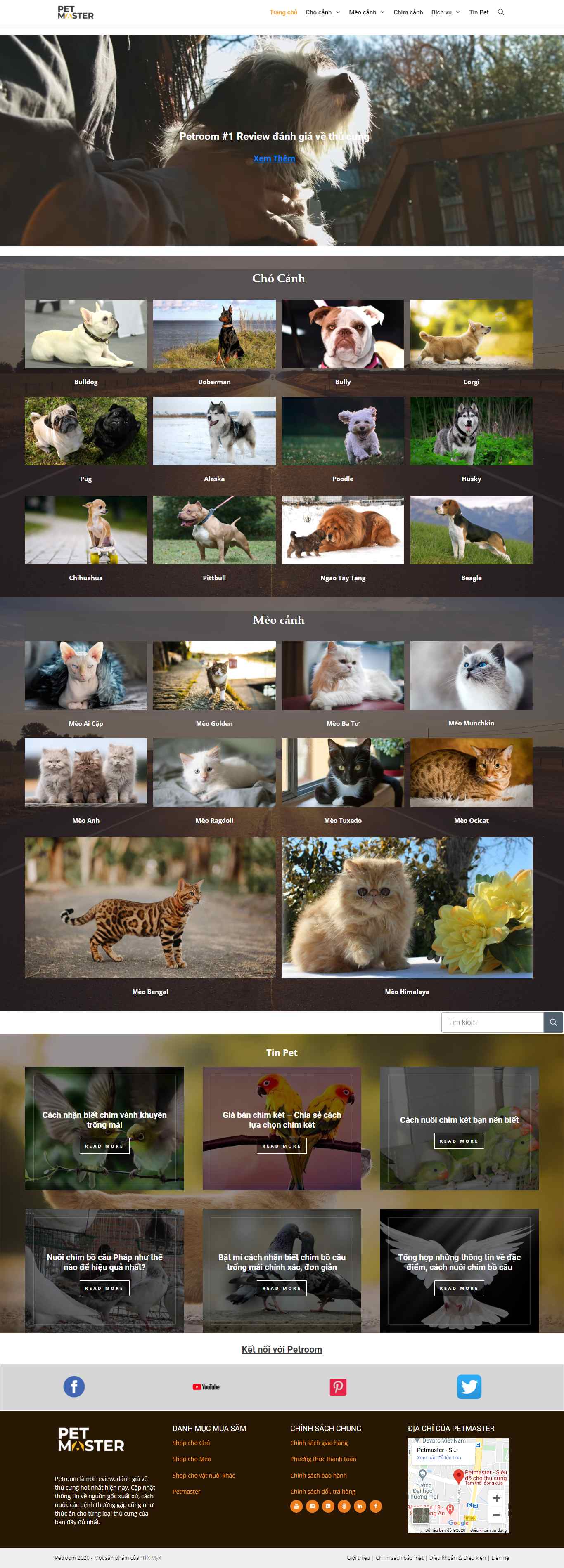 Thiết kế Web thú cưng petmaster.vn