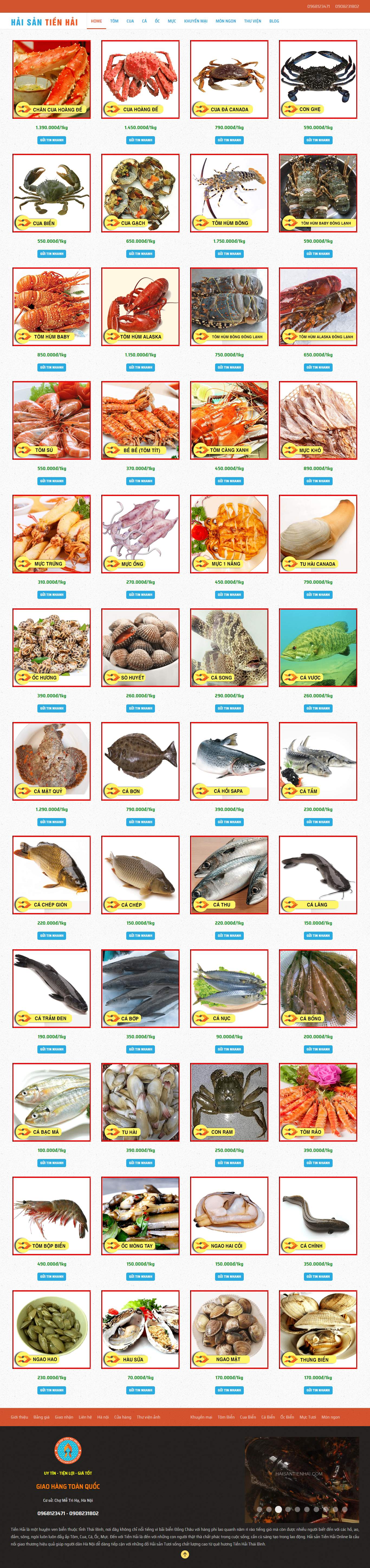 Thiết kế Web quận cầu giấy haisantienhai.com