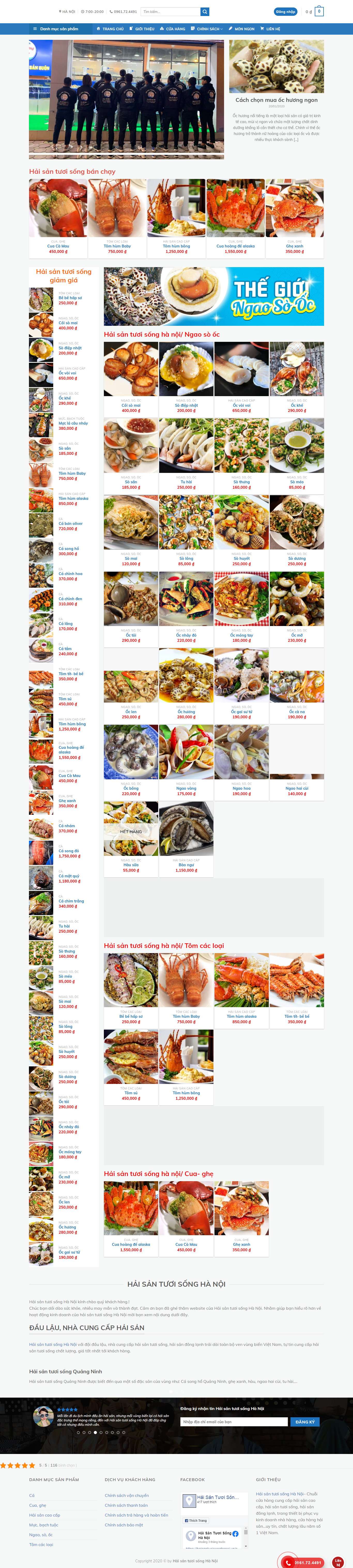 Thiết kế Web quận cầu giấy haisantuoisonghanoi.vn