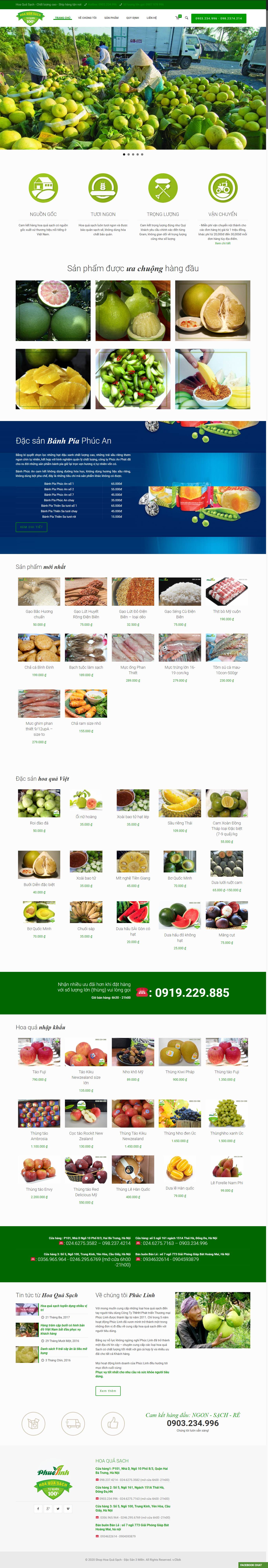 Thiết kế Web an giang hoaquasach.vn