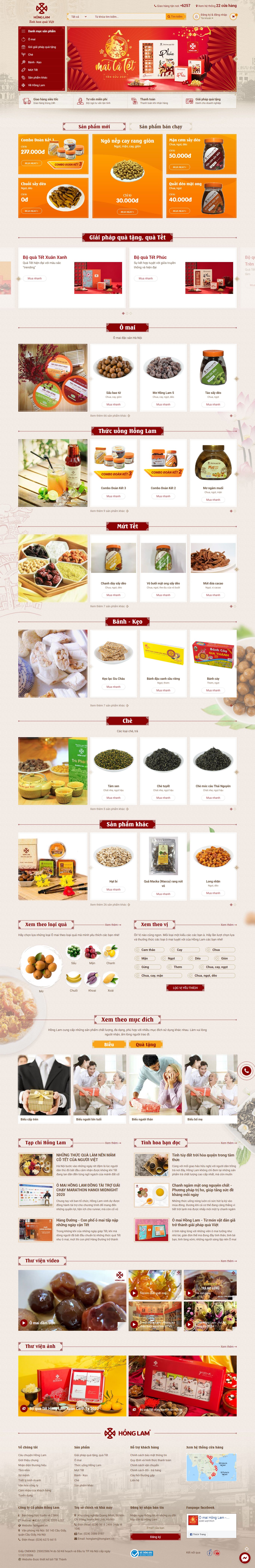 Thiết kế Web thái bình honglam.vn