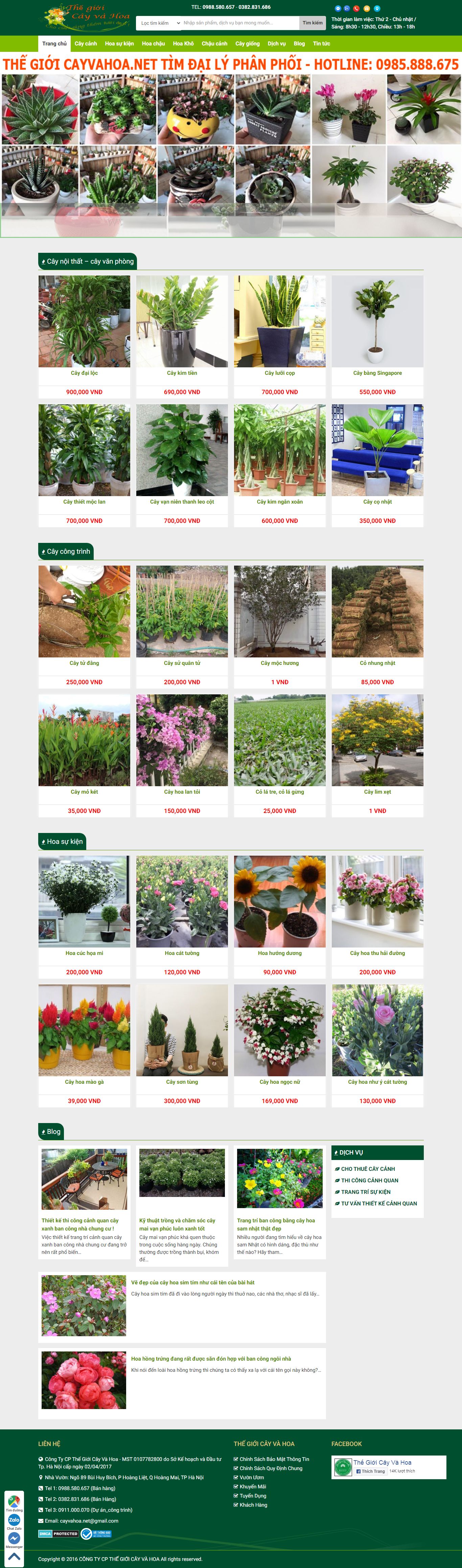 Thiết kế Web trà vinh cayvahoa.net