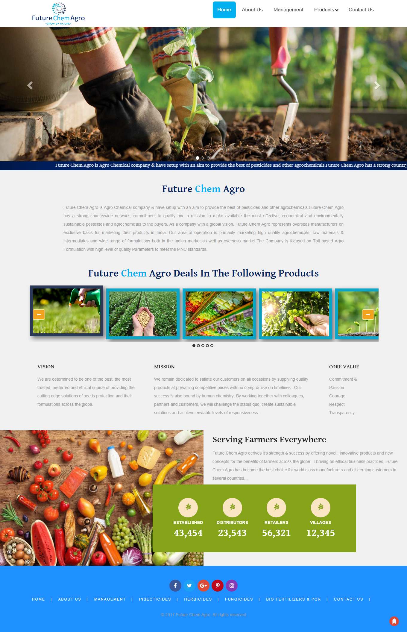 Thiết kế Web quận tân bình futurechemagro.com