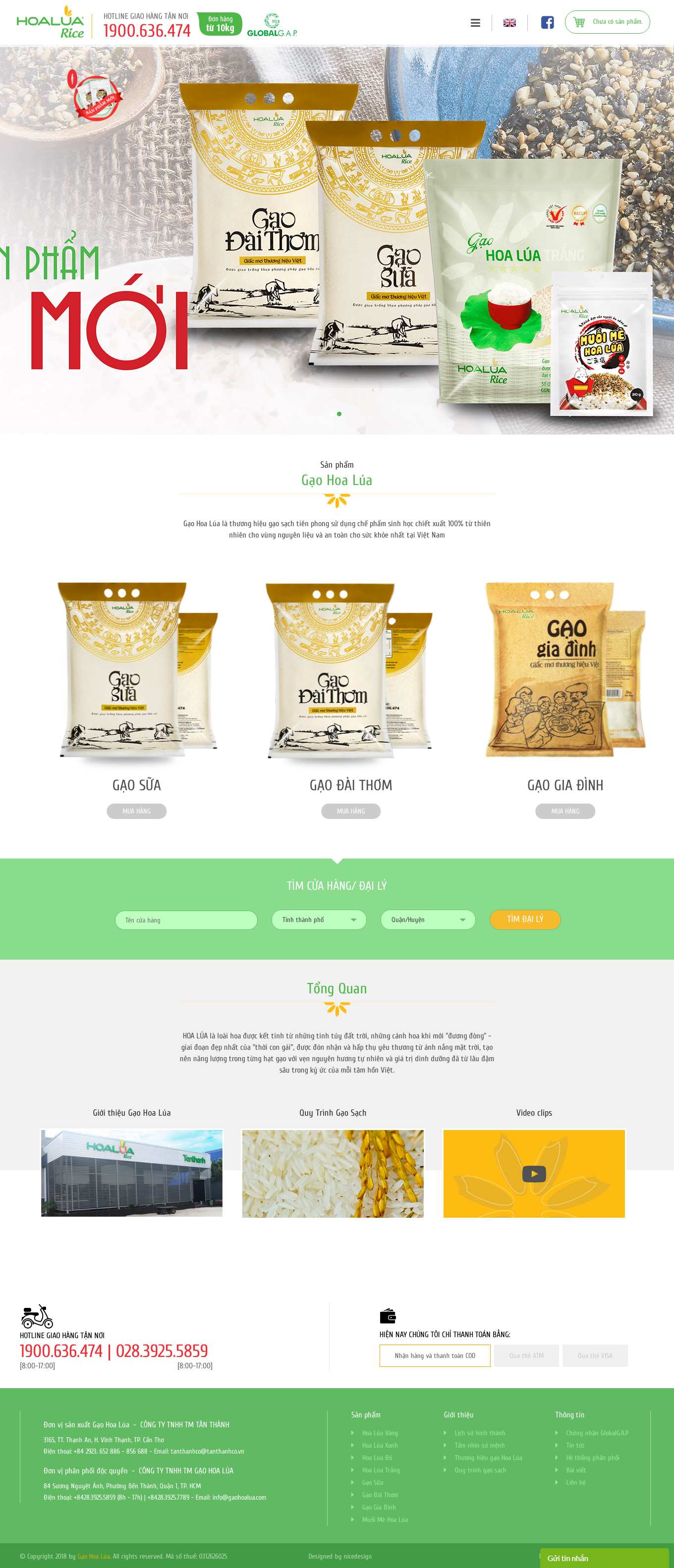 Thiết kế Web vina gaohoalua.com