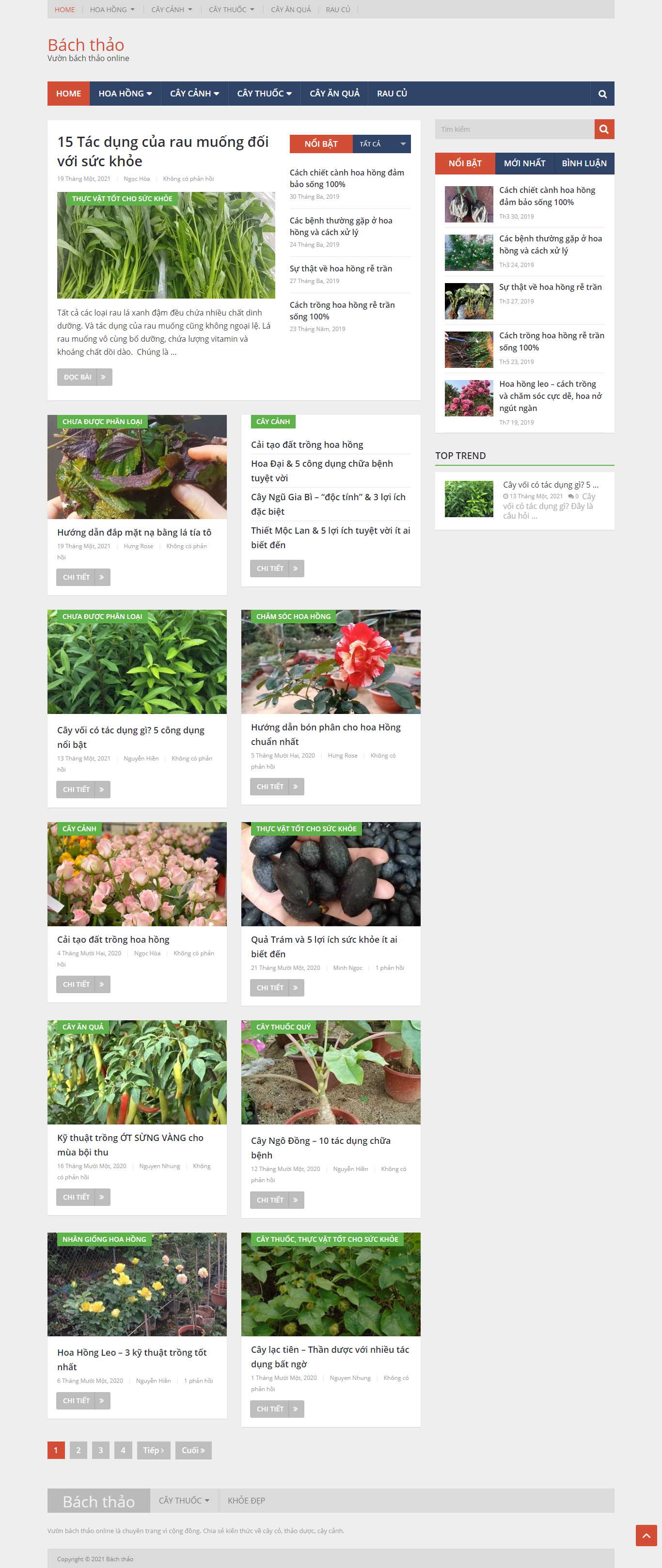 Thiết kế Web chuyên nghiệp giá rẻ bachthao.net