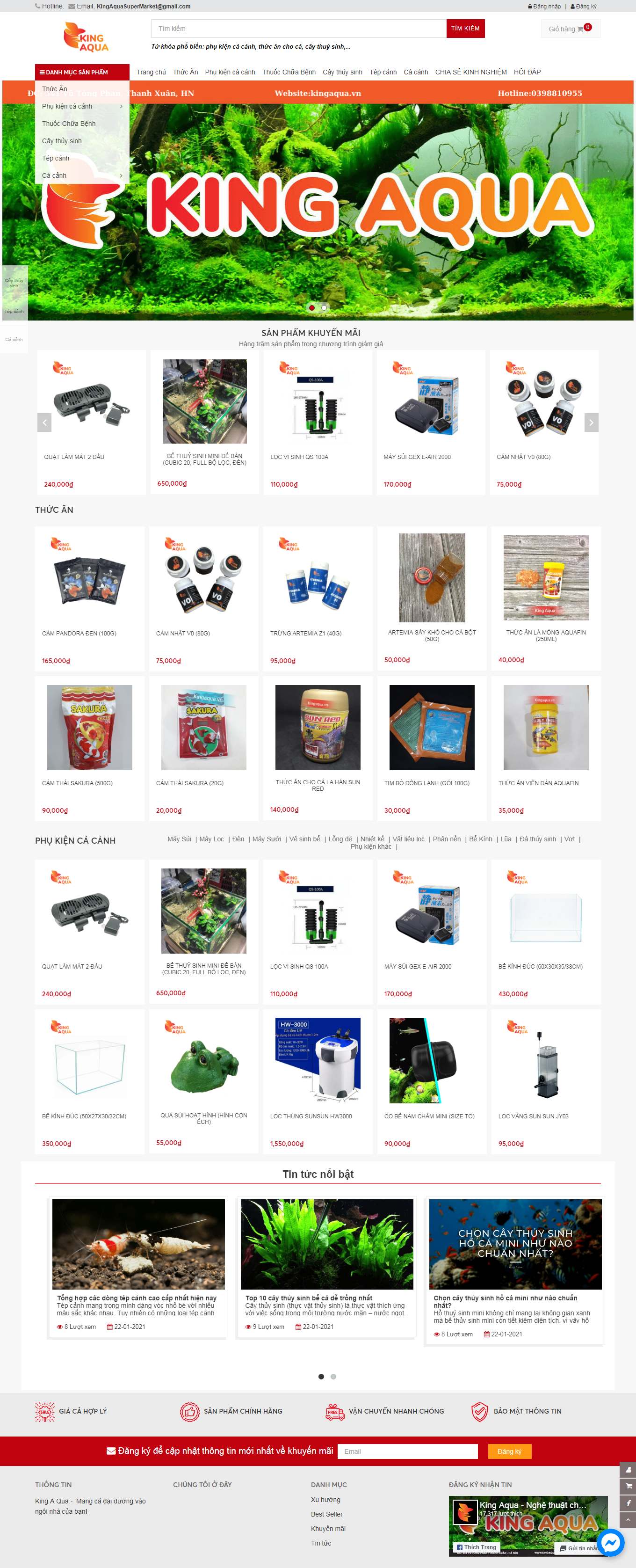 Thiết kế Web bán cá cảnh, cây thủy sinh kingaqua.vn