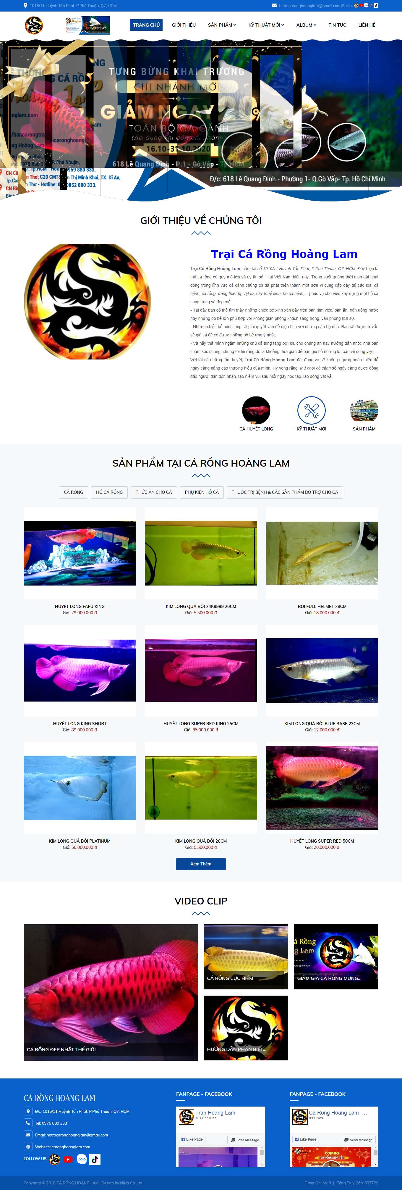 Thiết kế Web bán cá cảnh caronghoanglam.com