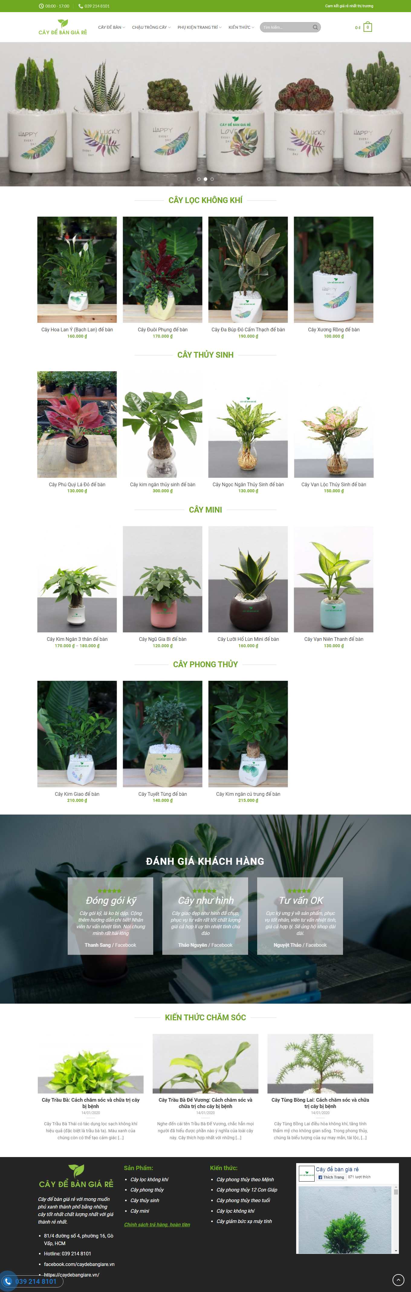 Thiết kế Web bán cây cảnh trong nhà caydebangiare.vn