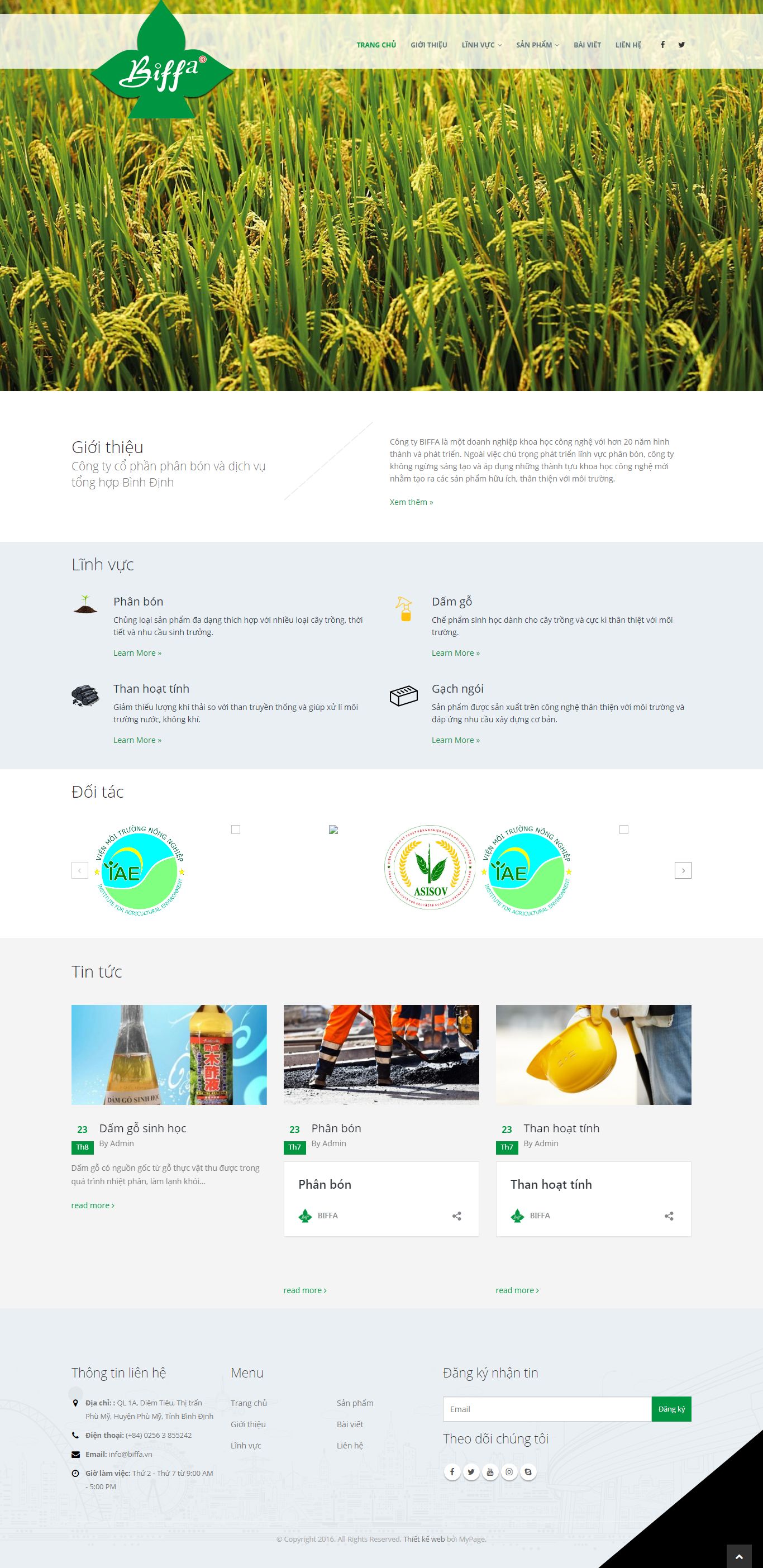 Thiết kế Web giới thiệu sản phẩm biffa.vn