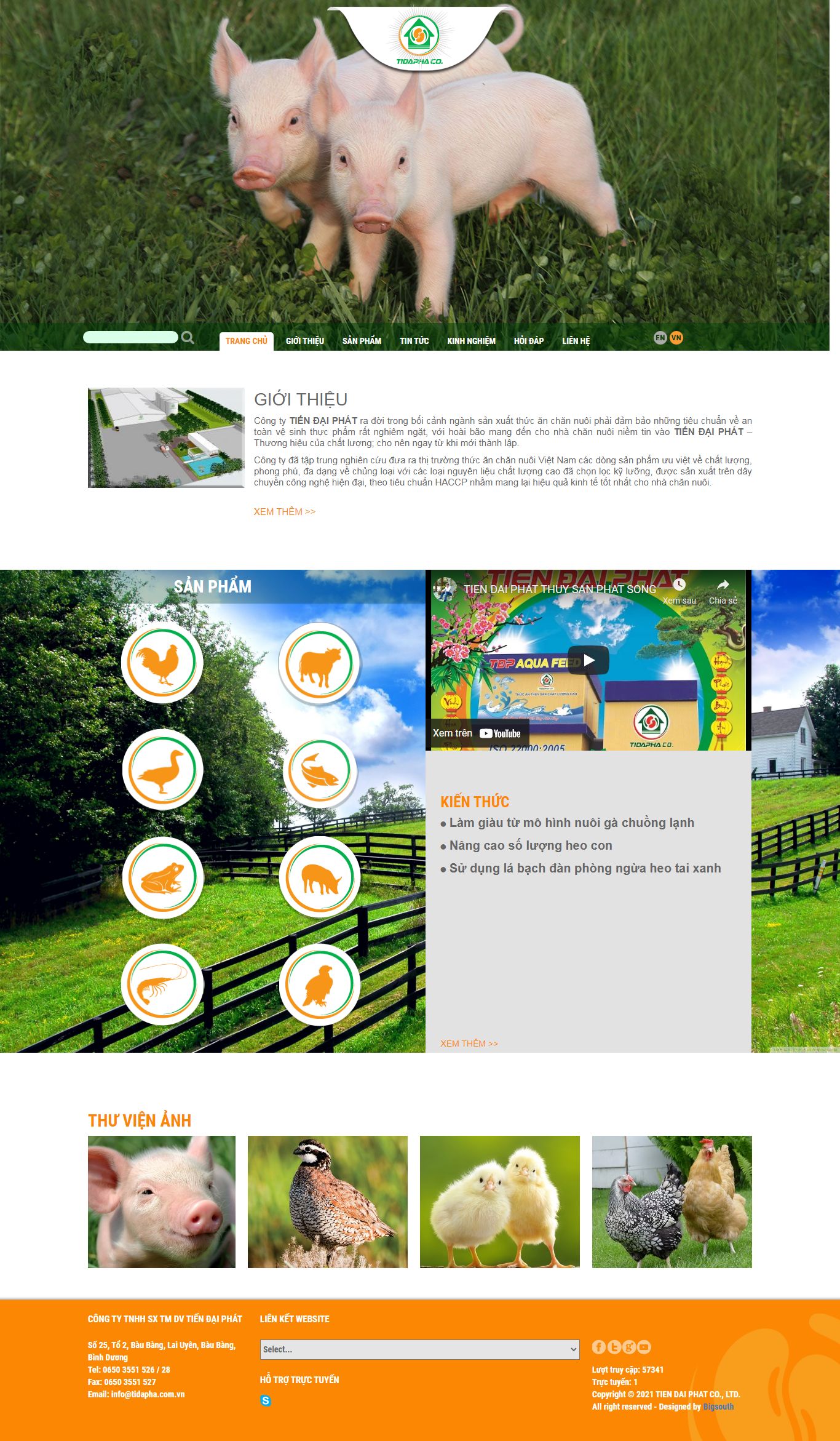 Thiết kế Web công ty tidapha.com.vn