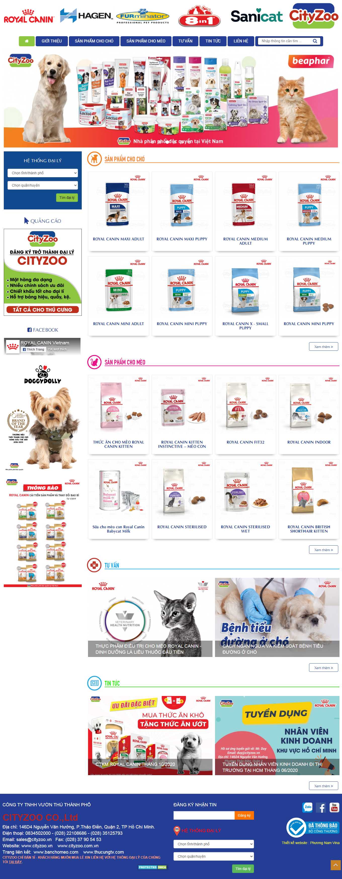 Thiết kế Web thú cưng cityzoo.vn