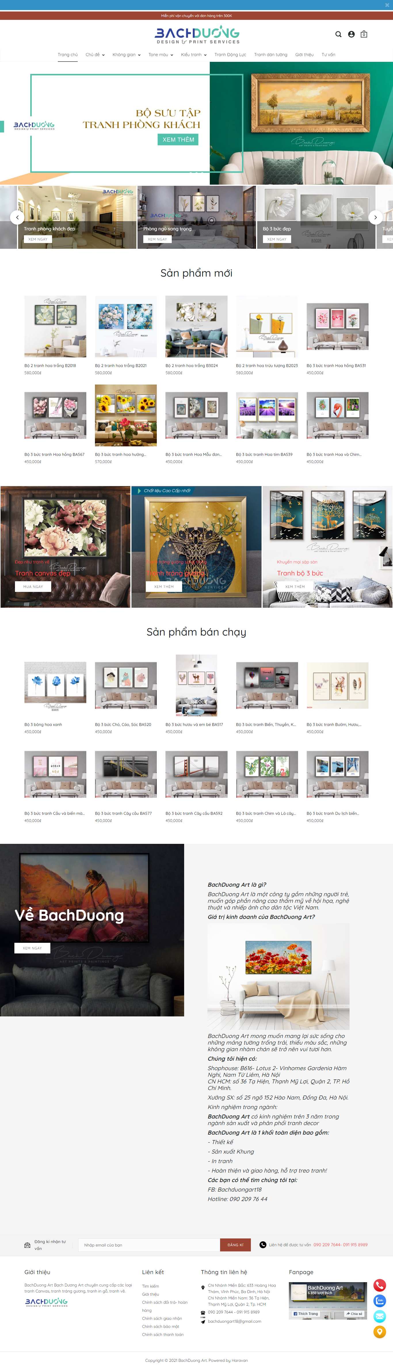 Thiết kế Web cửa hàng bachduongart.com