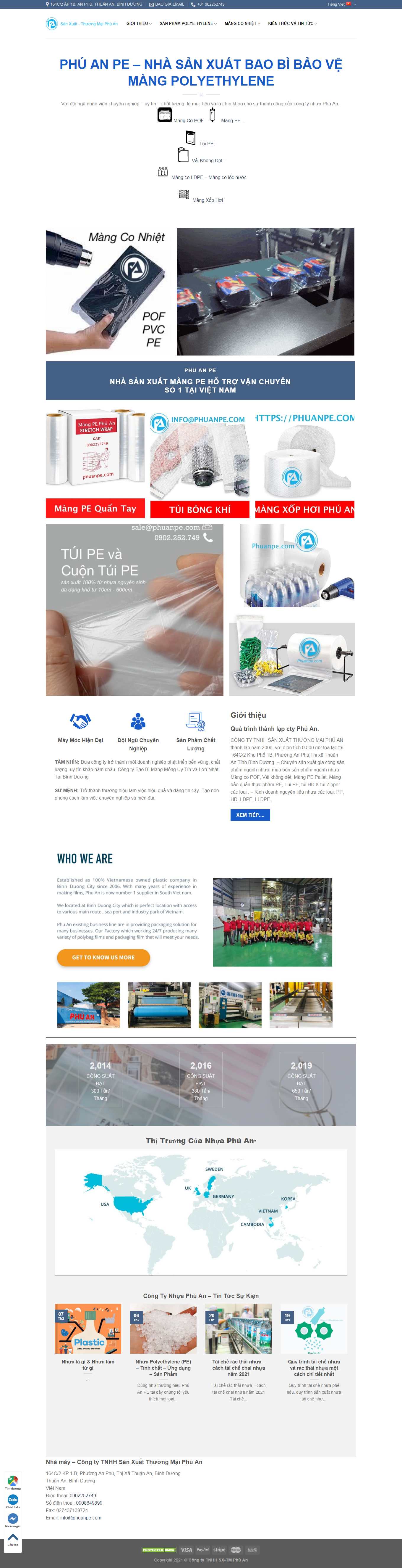 Thiết kế Web hà nội phuanpe.com