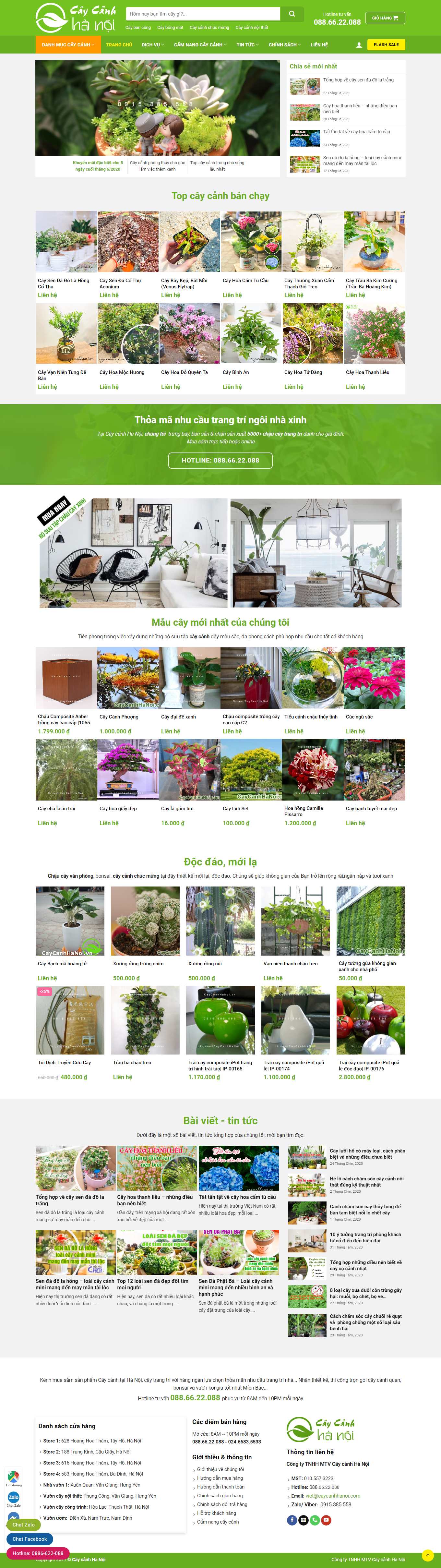 Thiết kế Web khánh hòa caycanhhanoi.vn