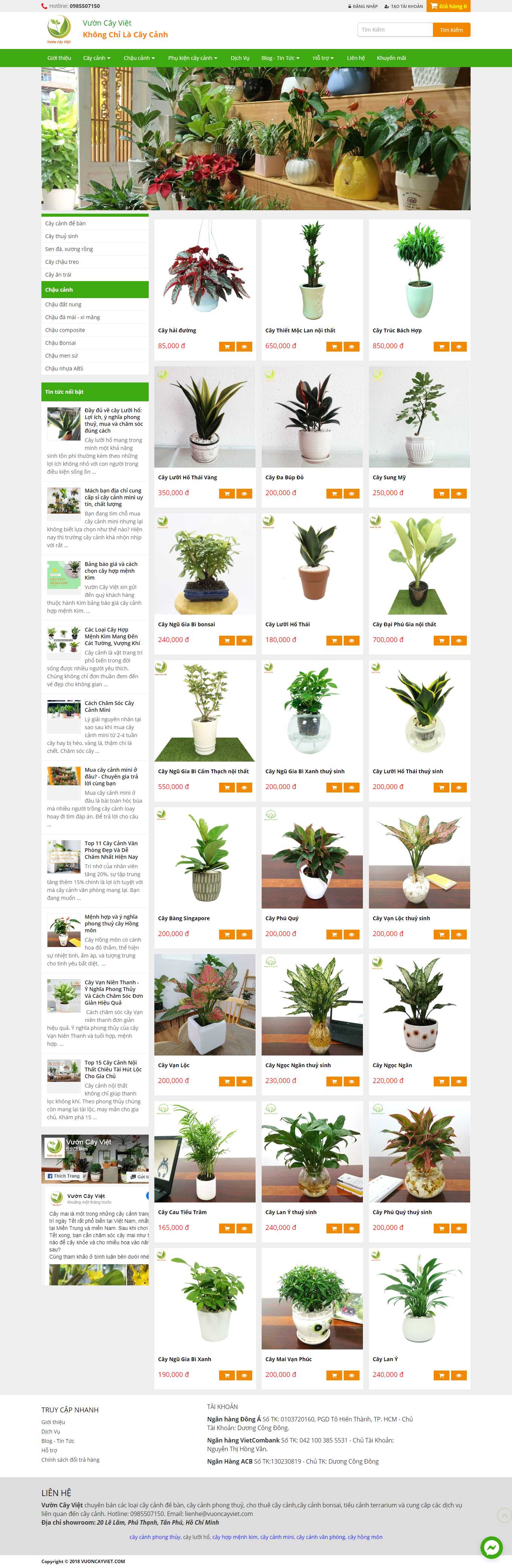 Thiết kế Web kiên giang vuoncayviet.com