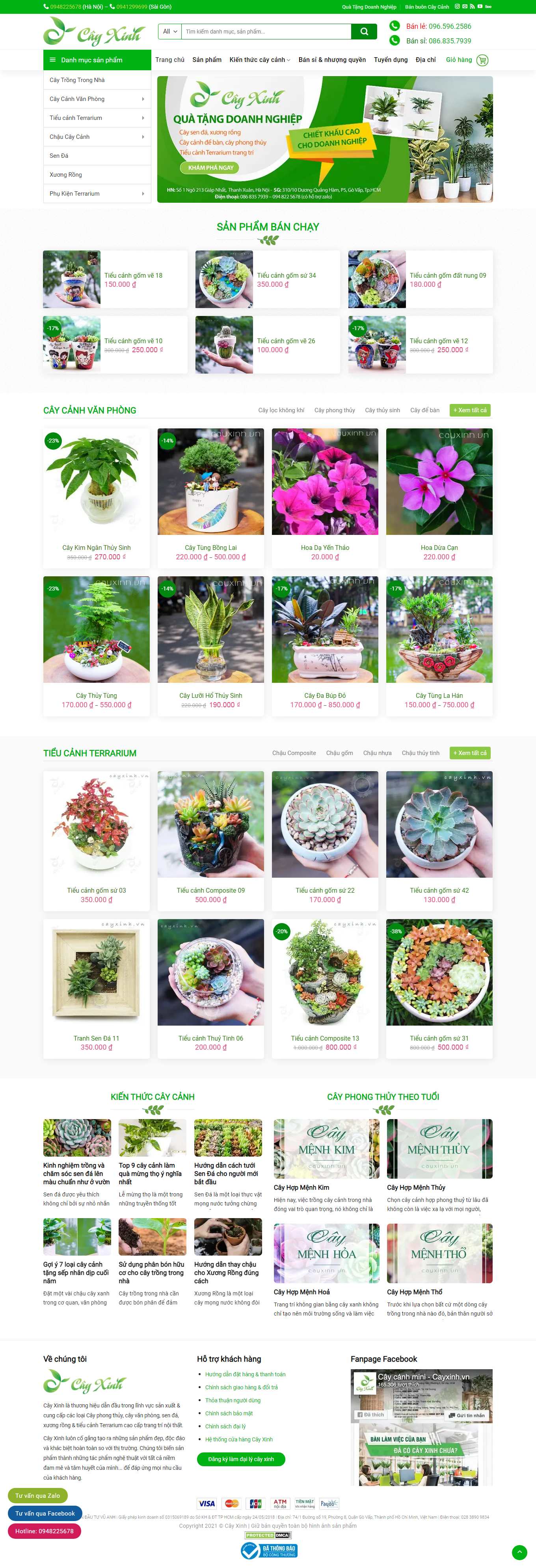 Thiết kế Web kiên giang cayxinh.vn