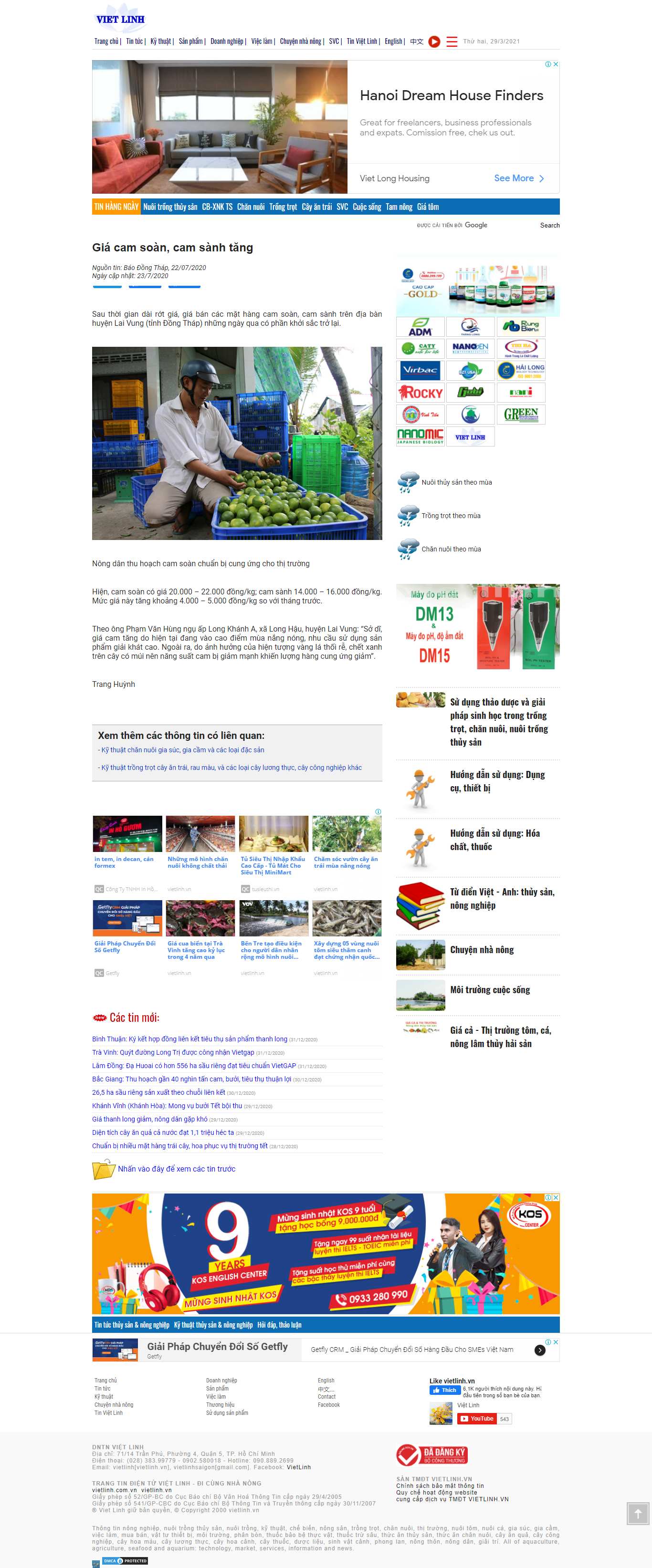 Thiết kế Web Đồng tháp vietlinh.vn