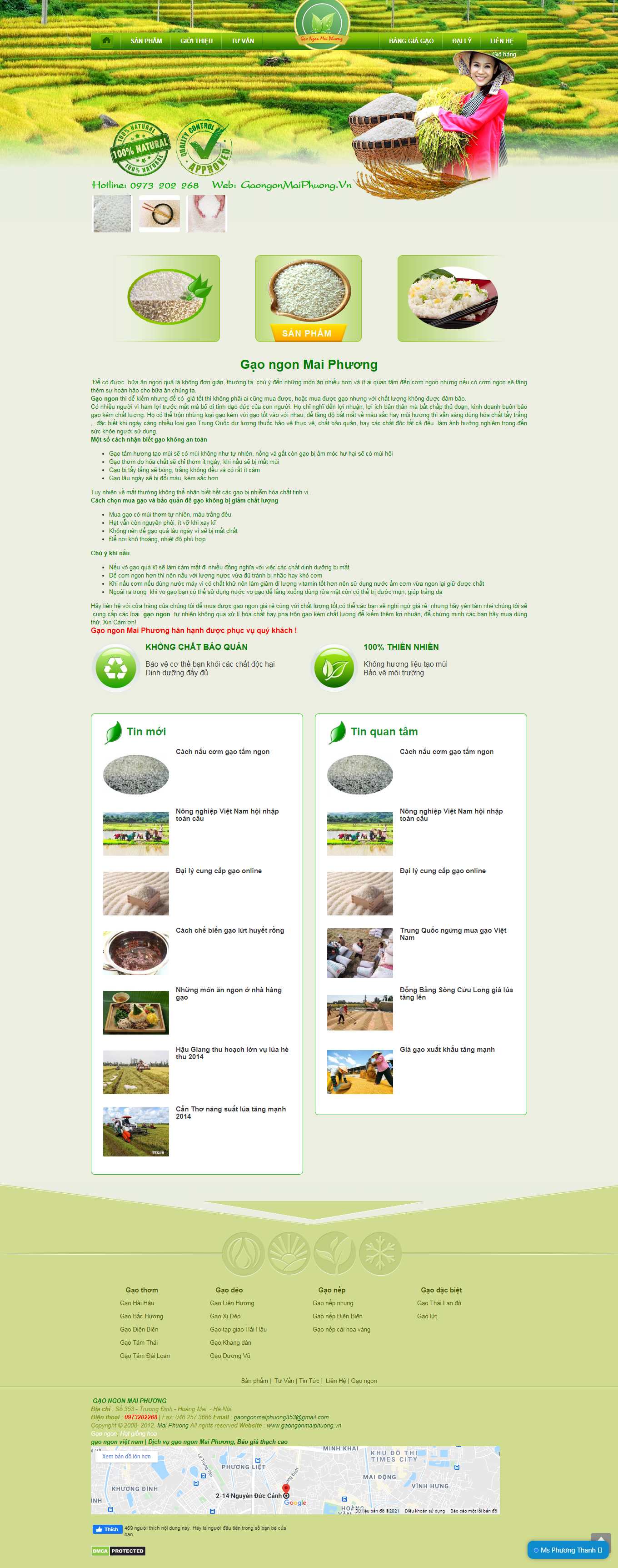 Thiết kế Web quận 1 gaongonmaiphuong.vn