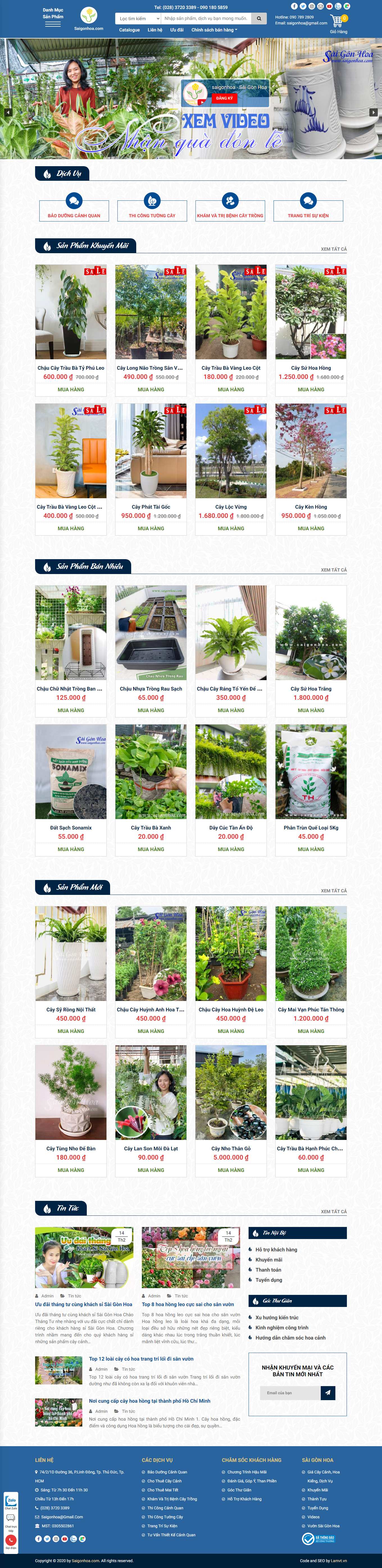 Thiết kế Web quận 11 saigonhoa.com