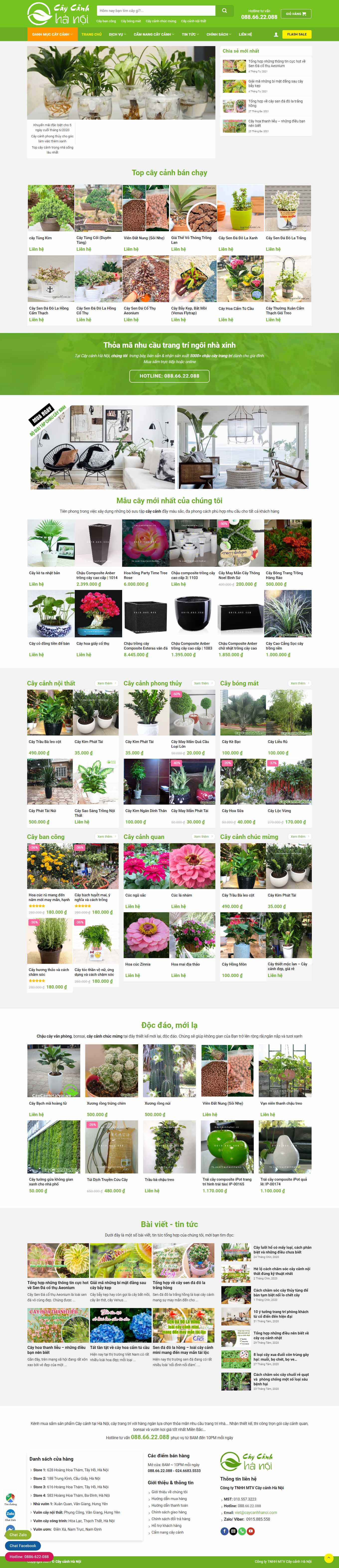 Thiết kế Web quận 11 caycanhhanoi.vn