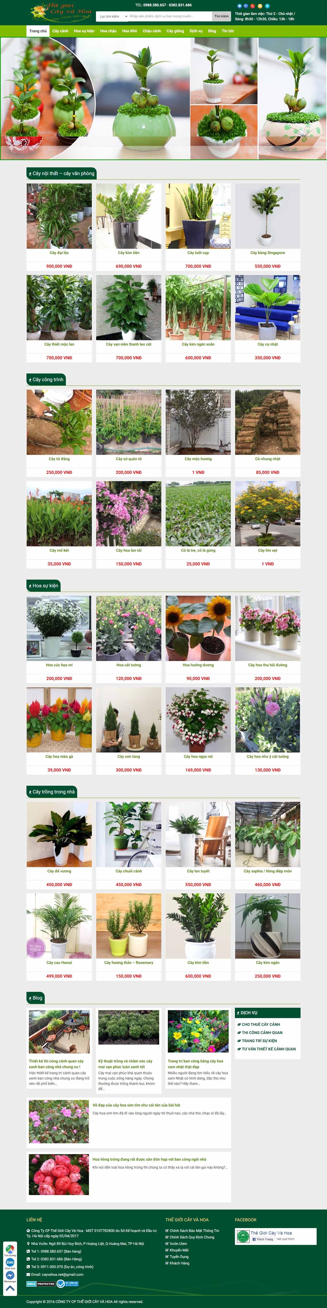 Thiết kế Web quận 12 cayvahoa.net