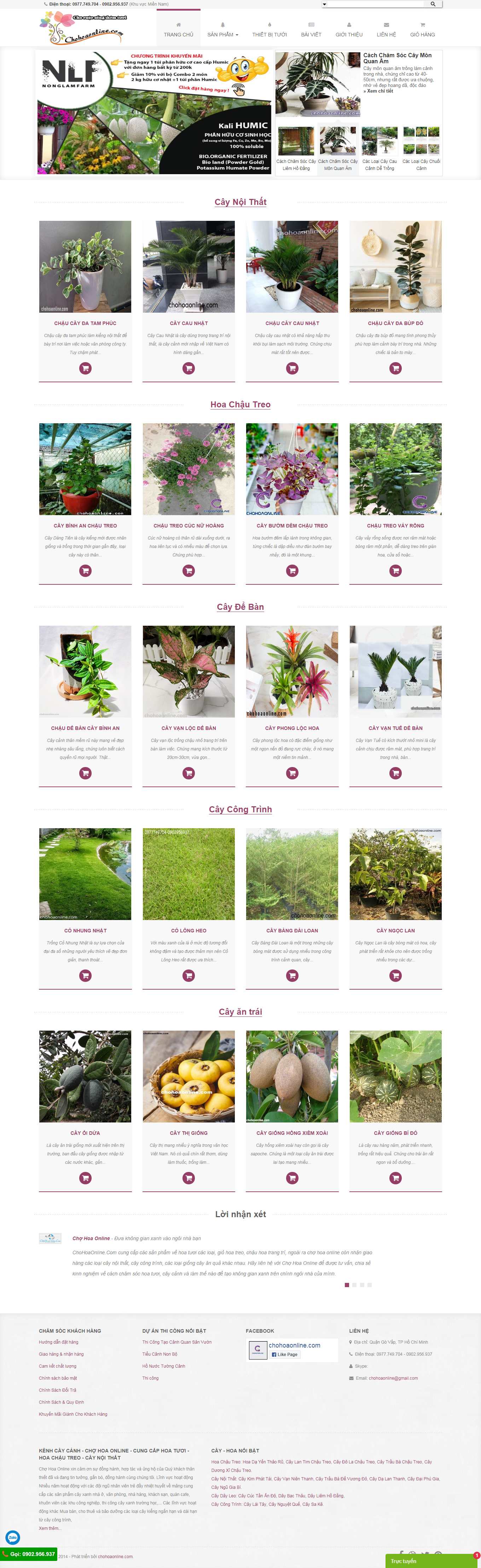 Thiết kế Web quận 12 chohoaonline.com