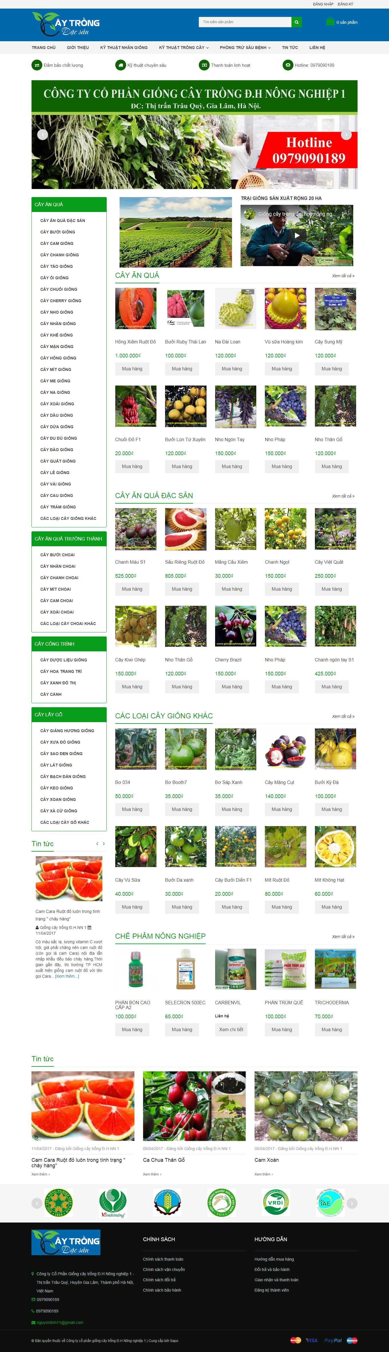 Thiết kế Web giống cây trồng giongcaytrongdacsan.vn