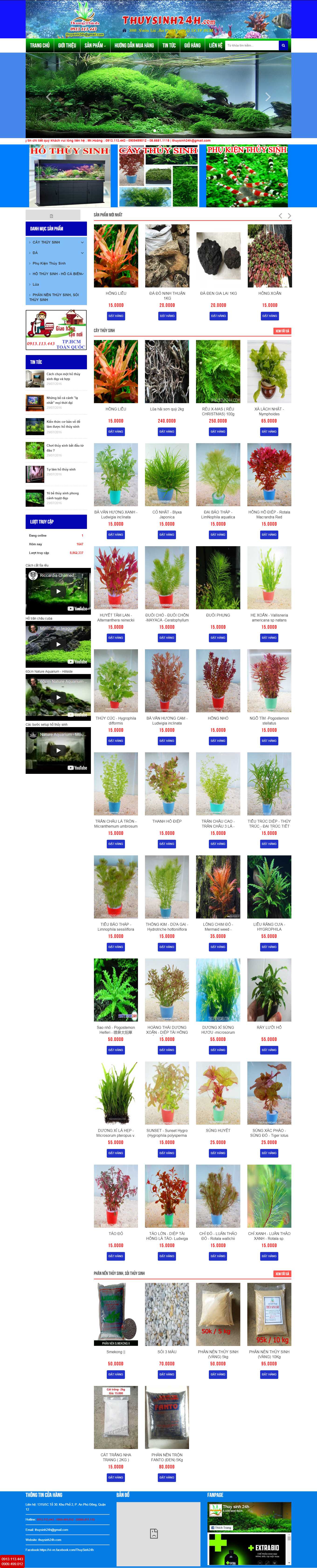 Thiết kế Web bán cá cảnh, cây thủy sinh thuysinh24h.com