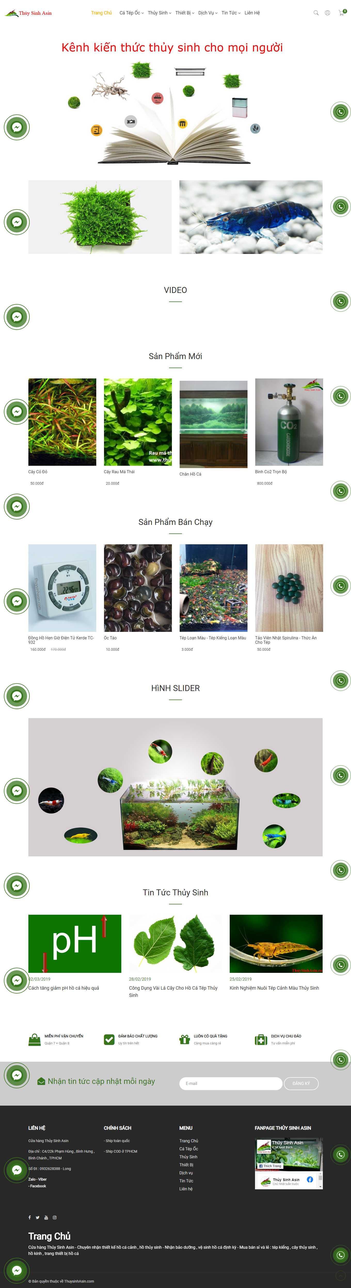 Thiết kế Web bán cá cảnh, cây thủy sinh thuysinhasin.com