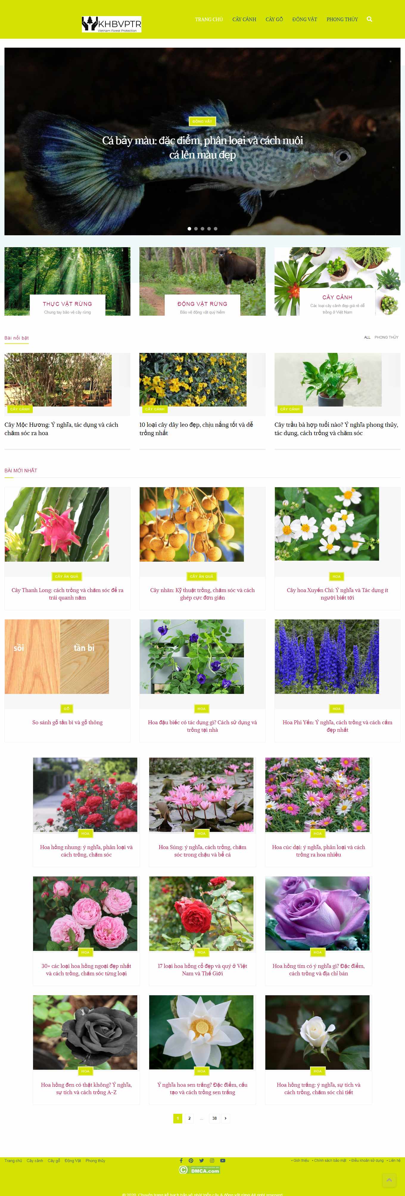Thiết kế Web bán chim cảnh khbvptr.vn