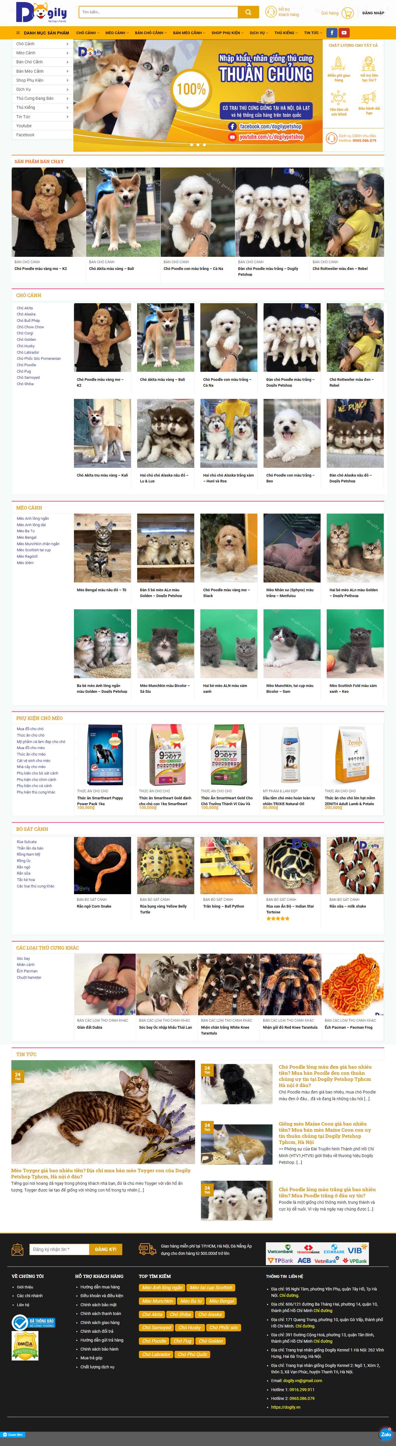 Thiết kế Web bán chim cảnh dogily.vn