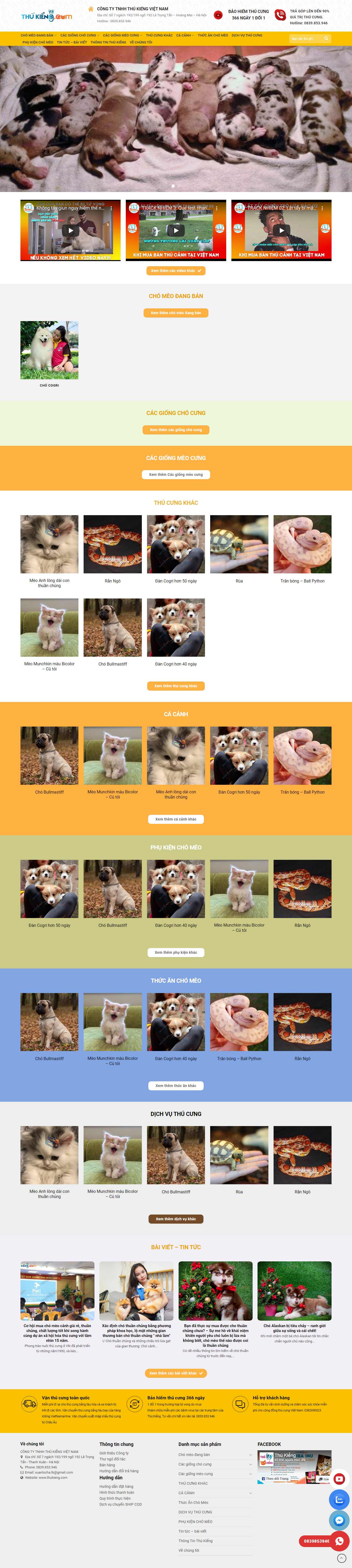 Thiết kế Web bán chim cảnh thukieng.com