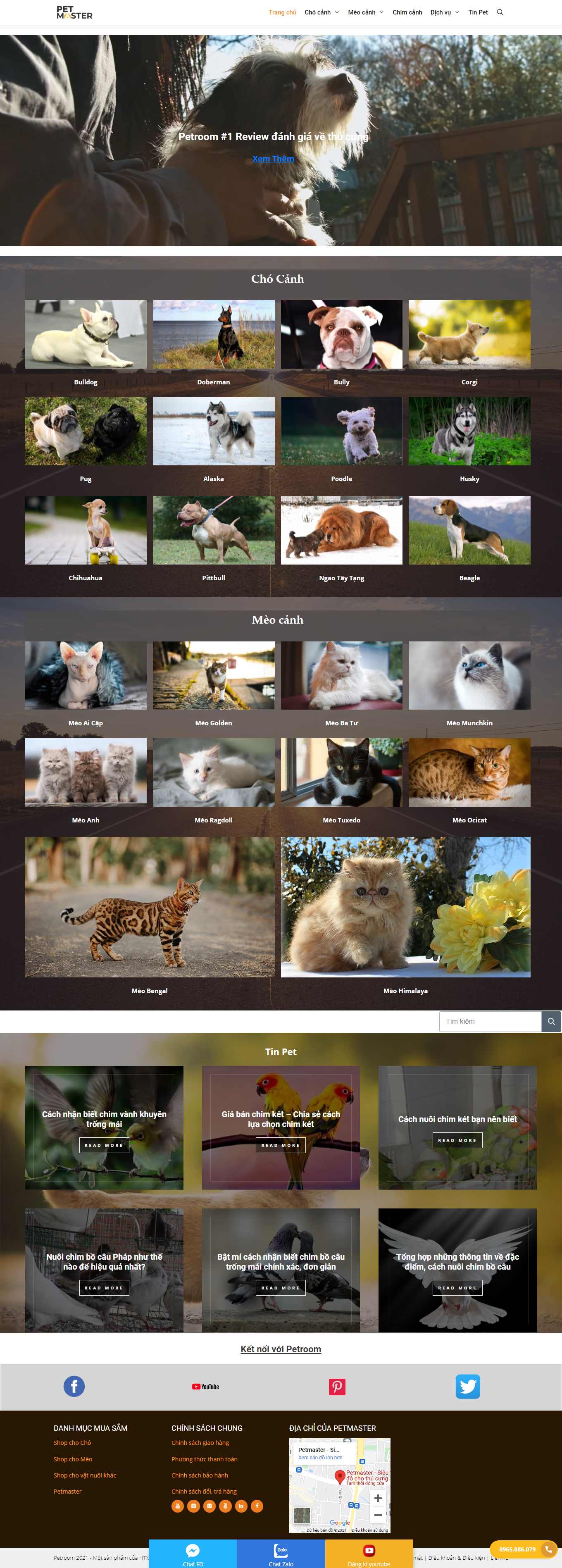 Thiết kế Web bán chim cảnh petmaster.vn