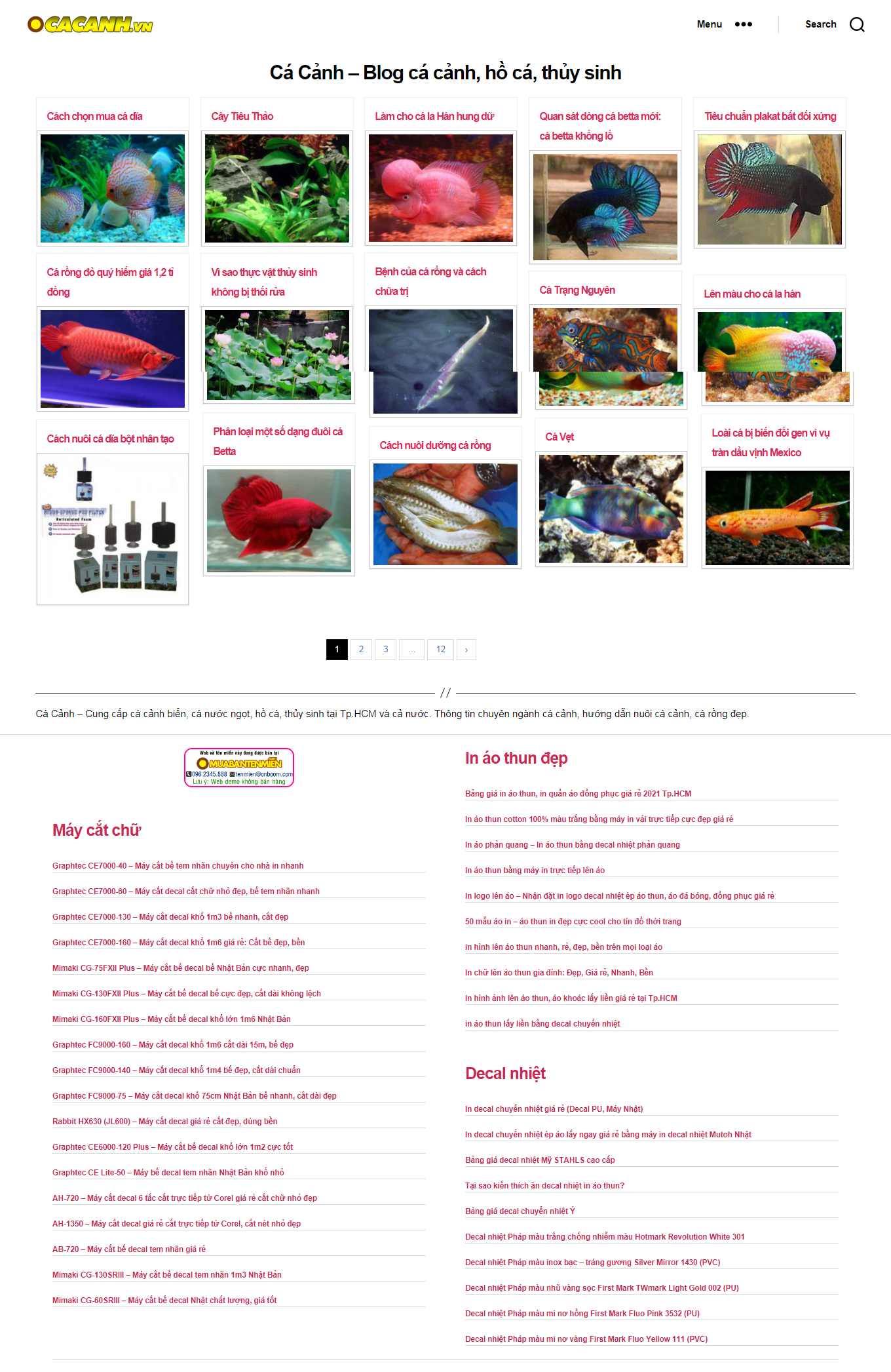 Thiết kế Web bán cá cảnh cacanh.vn