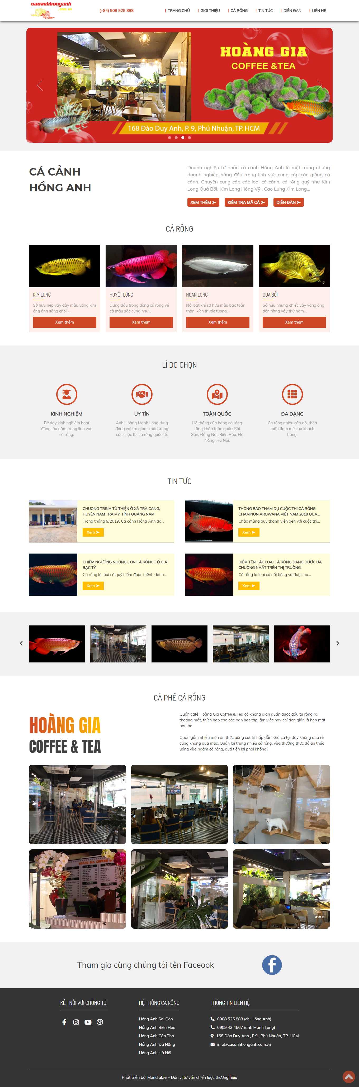 Thiết kế Web bán cá cảnh cacanhhonganh.com.vn
