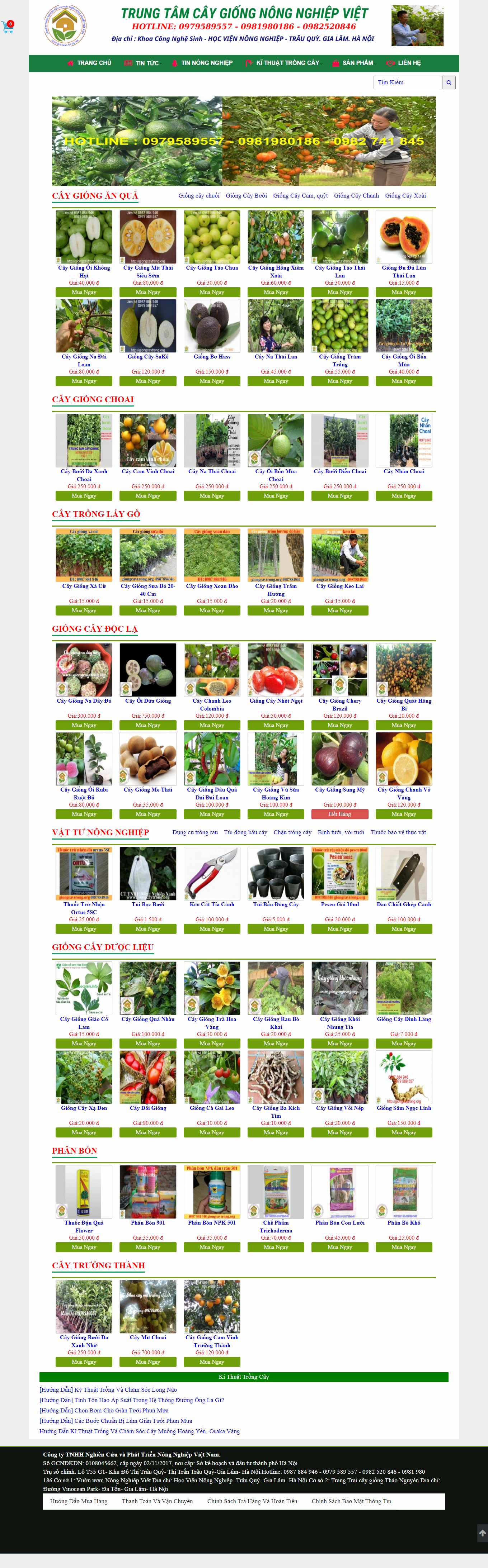 Thiết kế Web bán hạt giống cây trồng giongcaytrong.org