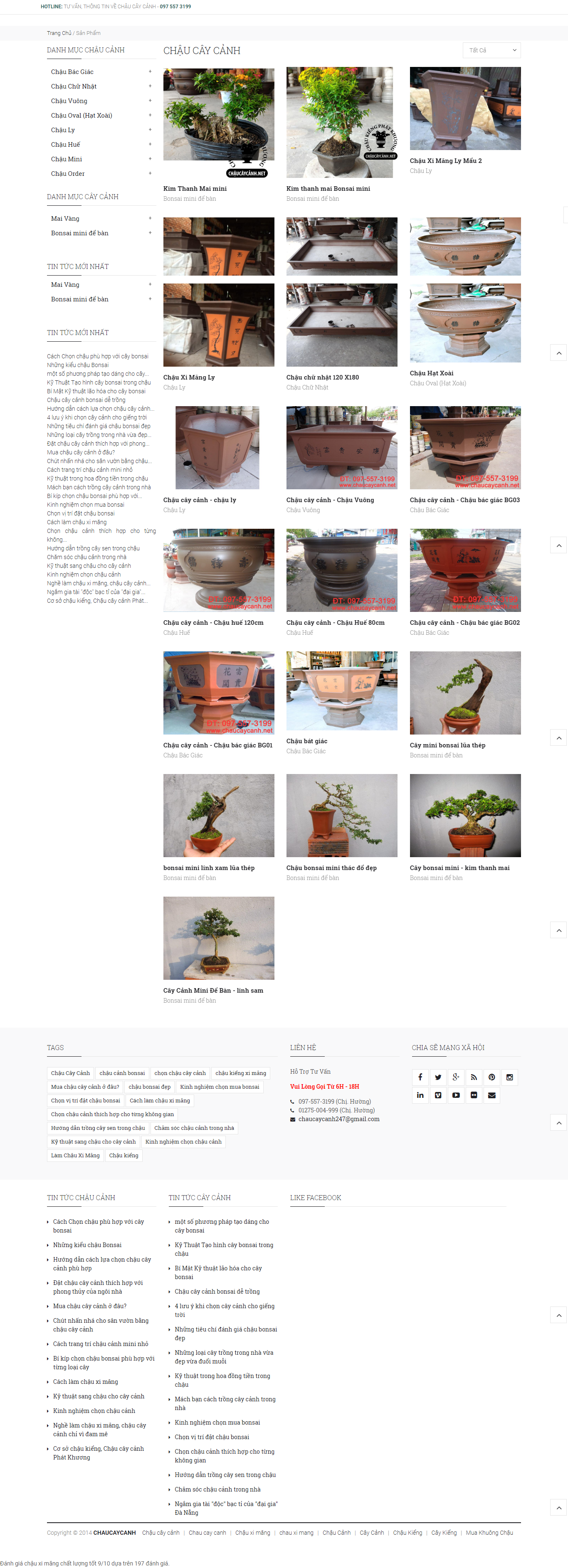 Thiết kế Web cây cảnh chaucaycanh.net