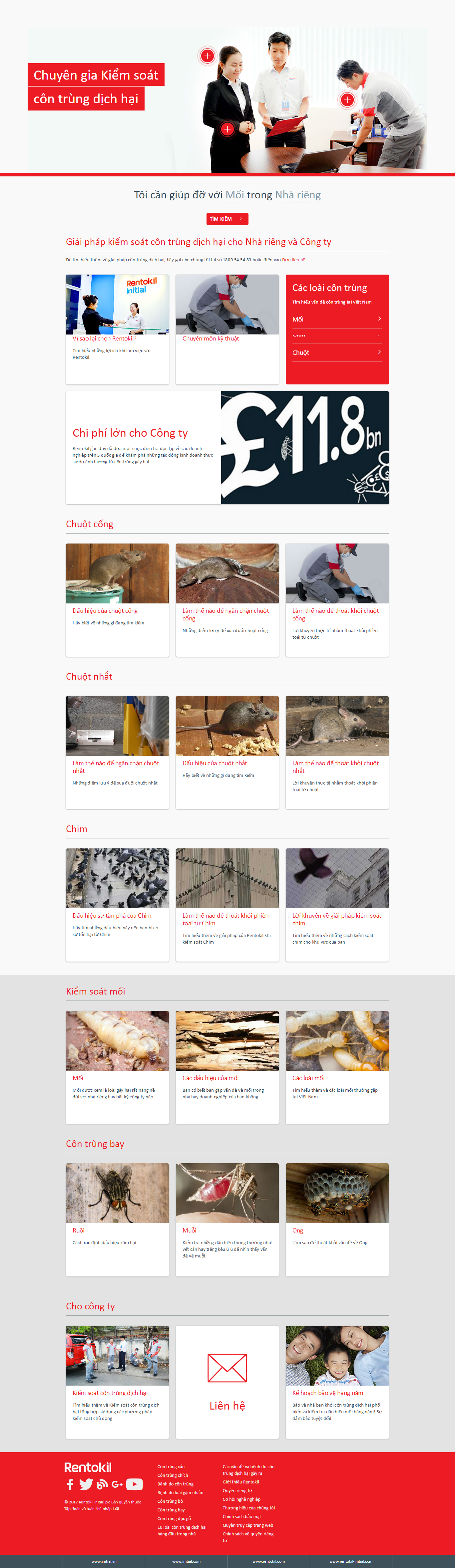 Thiết kế Web dịch vụ diệt côn trùng rentokil.vn