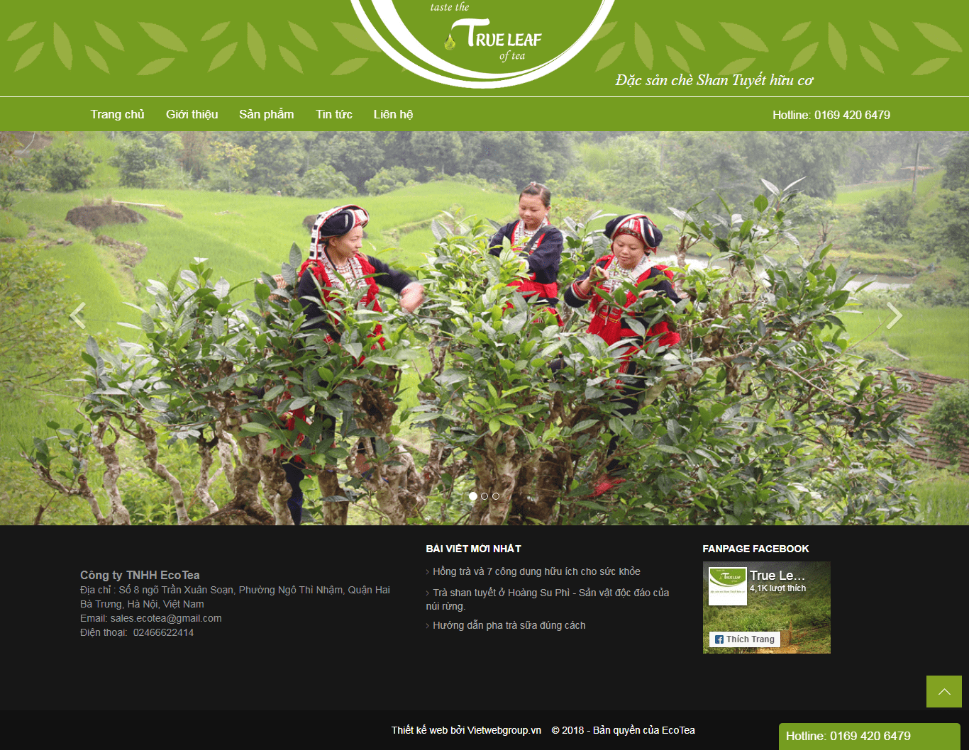 Thiết kế Web  trueleaf.vn