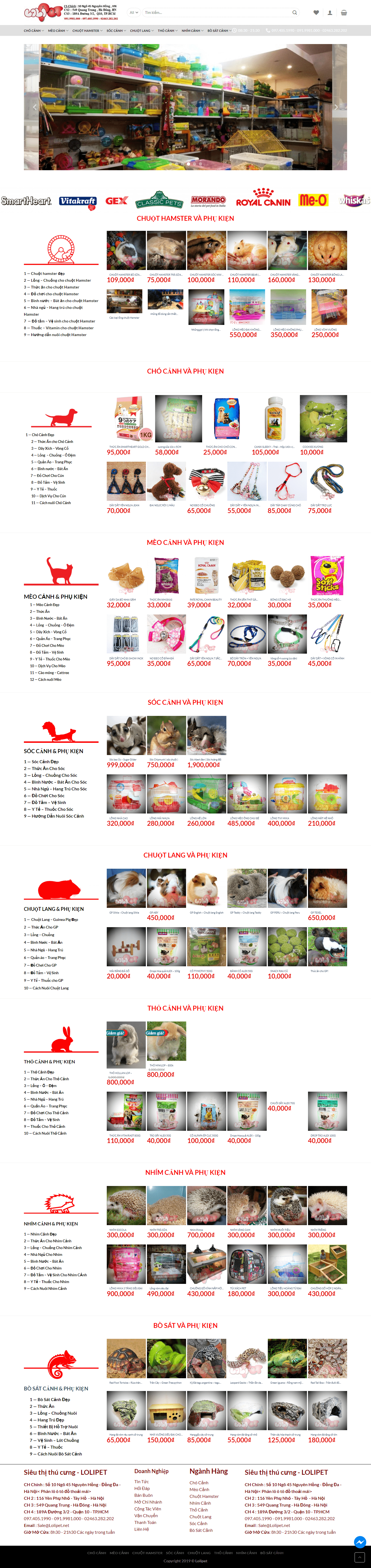 Thiết kế Web động vật vật nuôi lolipet.net