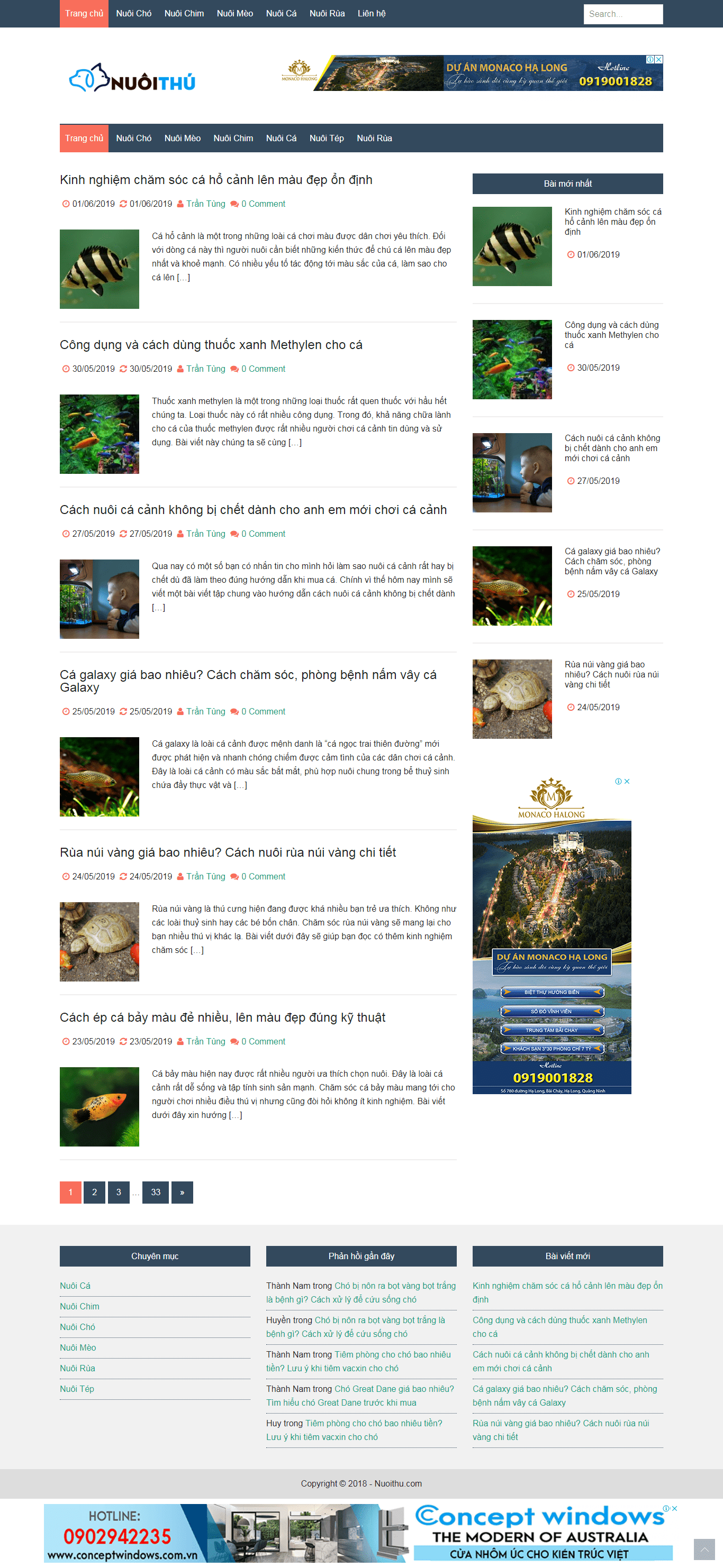 Thiết kế Web php nuoithu.com