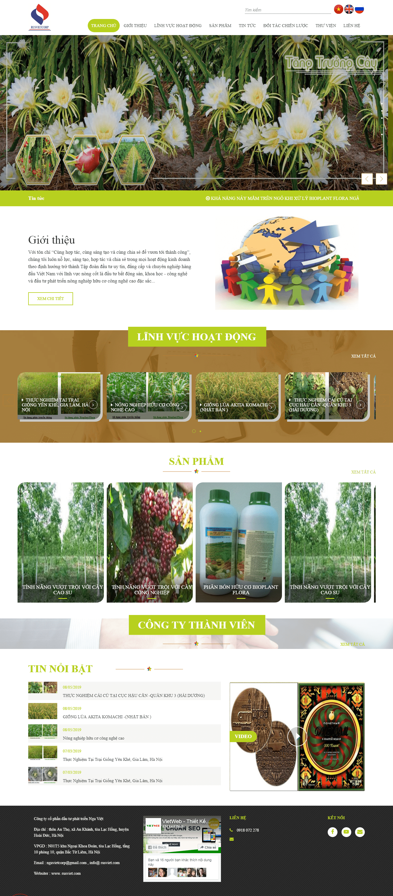 Thiết kế Web tin tức bachduongcorp.vn