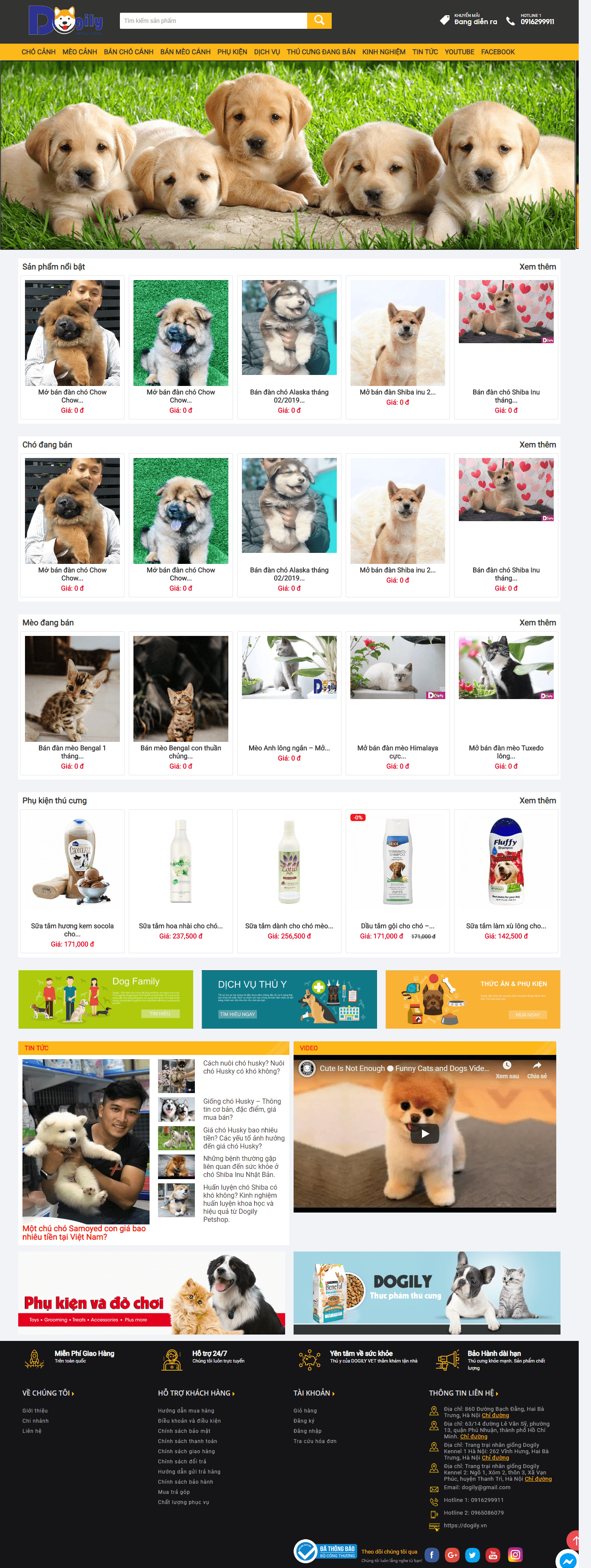 Thiết kế Web giá rẻ dogily.vn